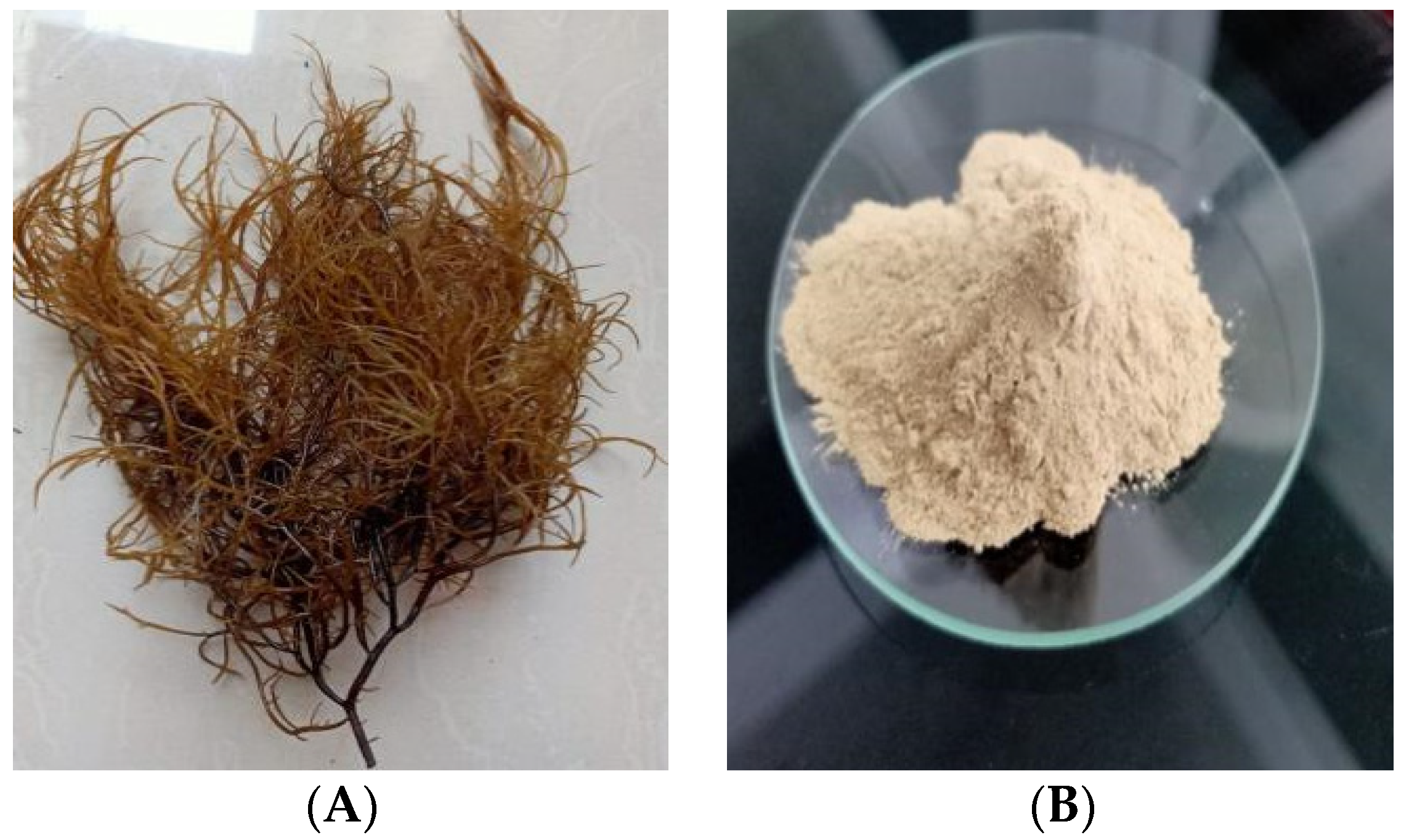 Membranes 11 00668 g001