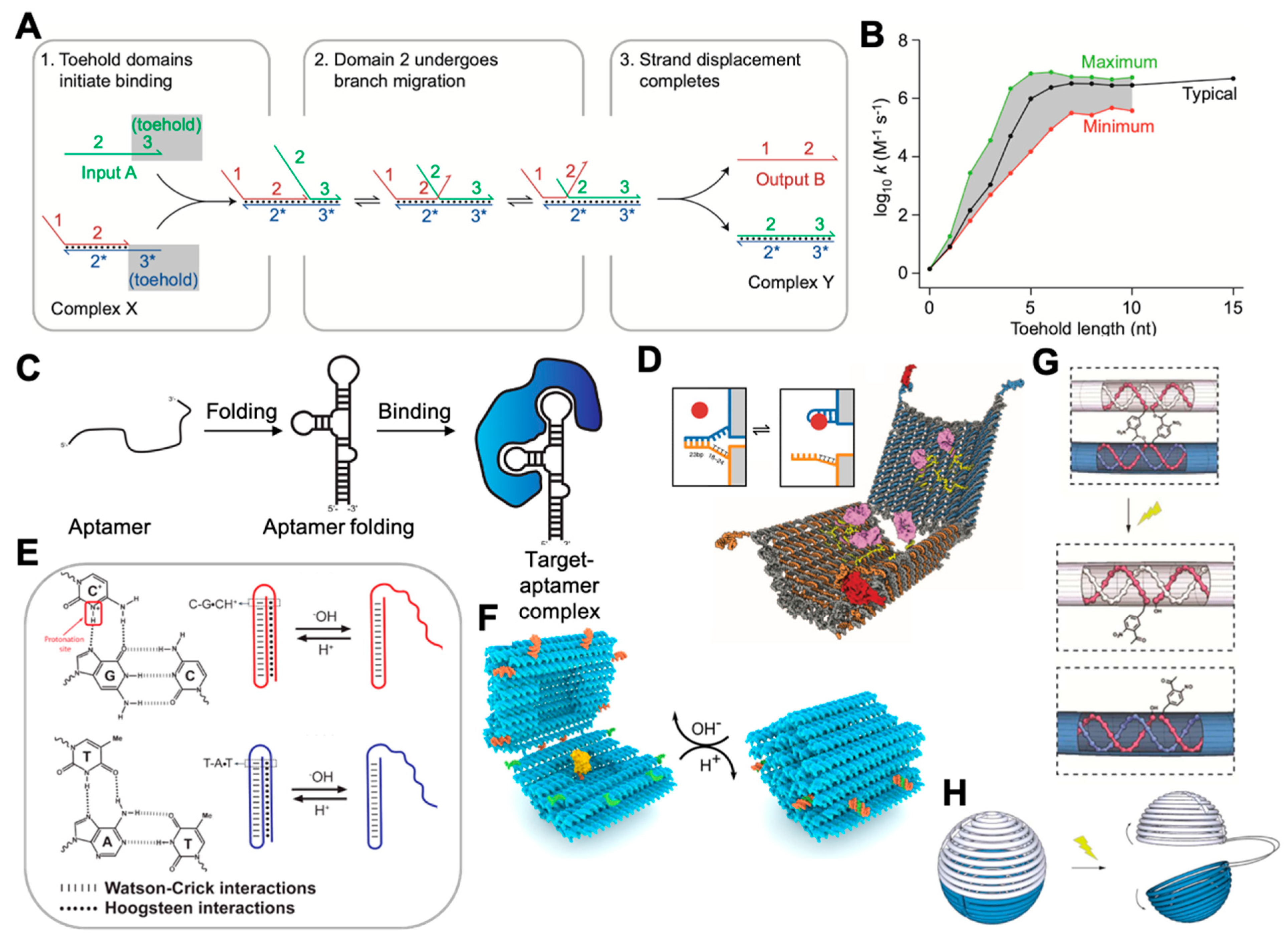 Membranes 11 00683 g002