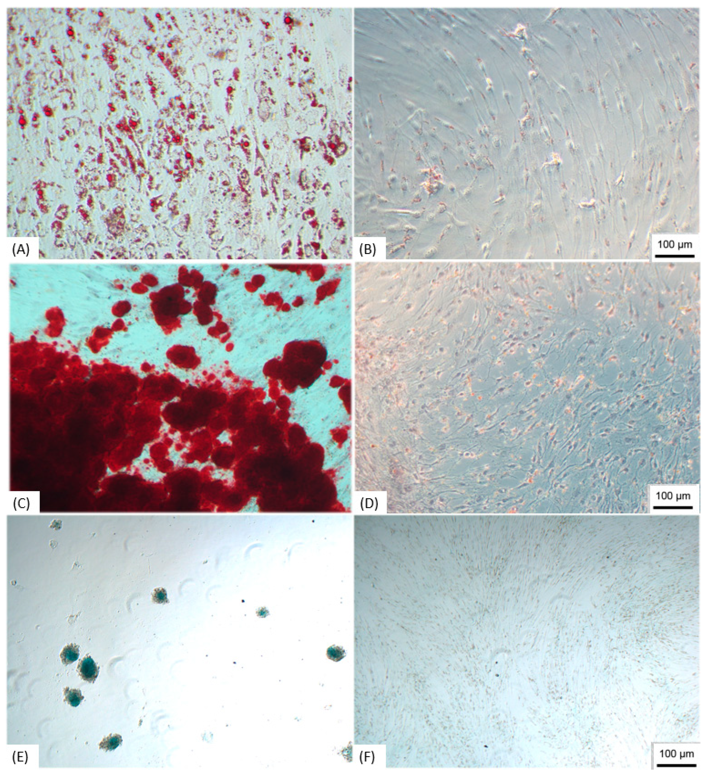 Membranes 11 00687 g001 Membranes 11 00687 g001