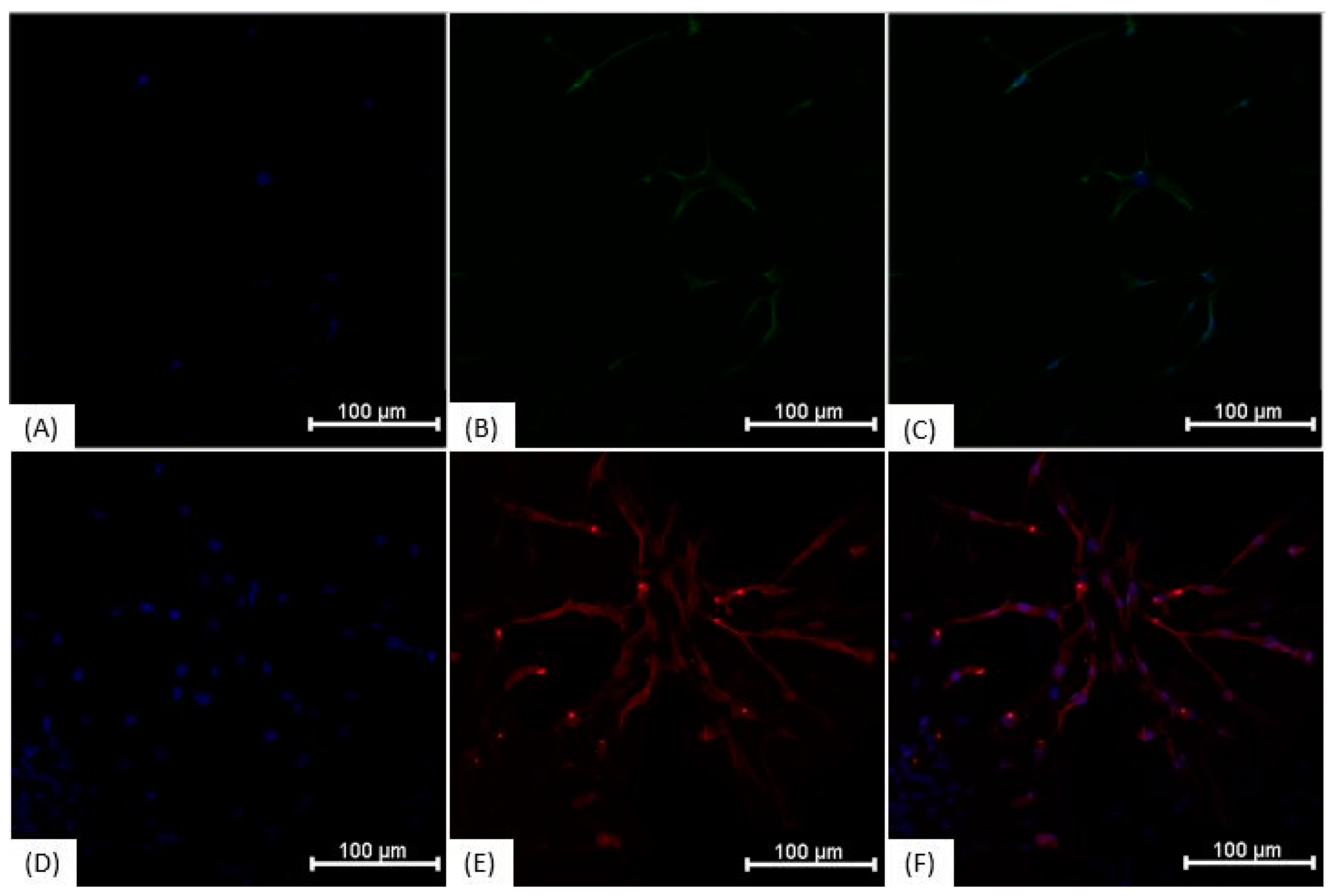 Membranes 11 00687 g006 Membranes 11 00687 g006