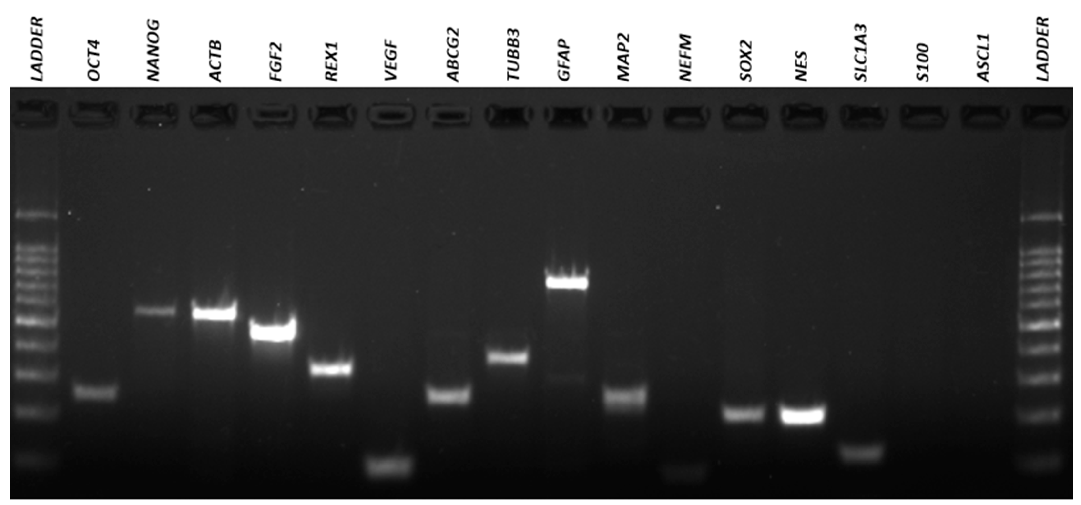 Membranes 11 00687 g007 Membranes 11 00687 g007