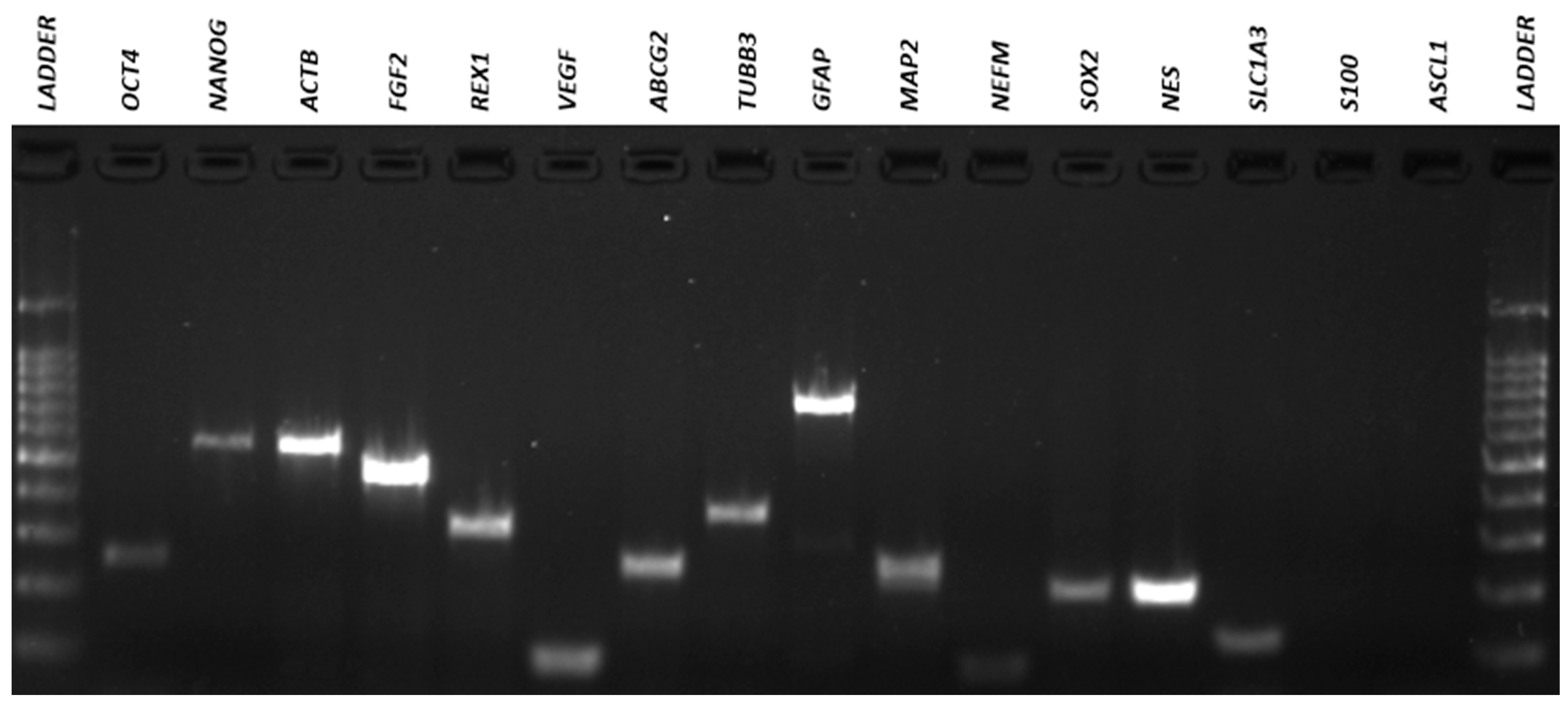 Membranes 11 00687 g008 Membranes 11 00687 g008