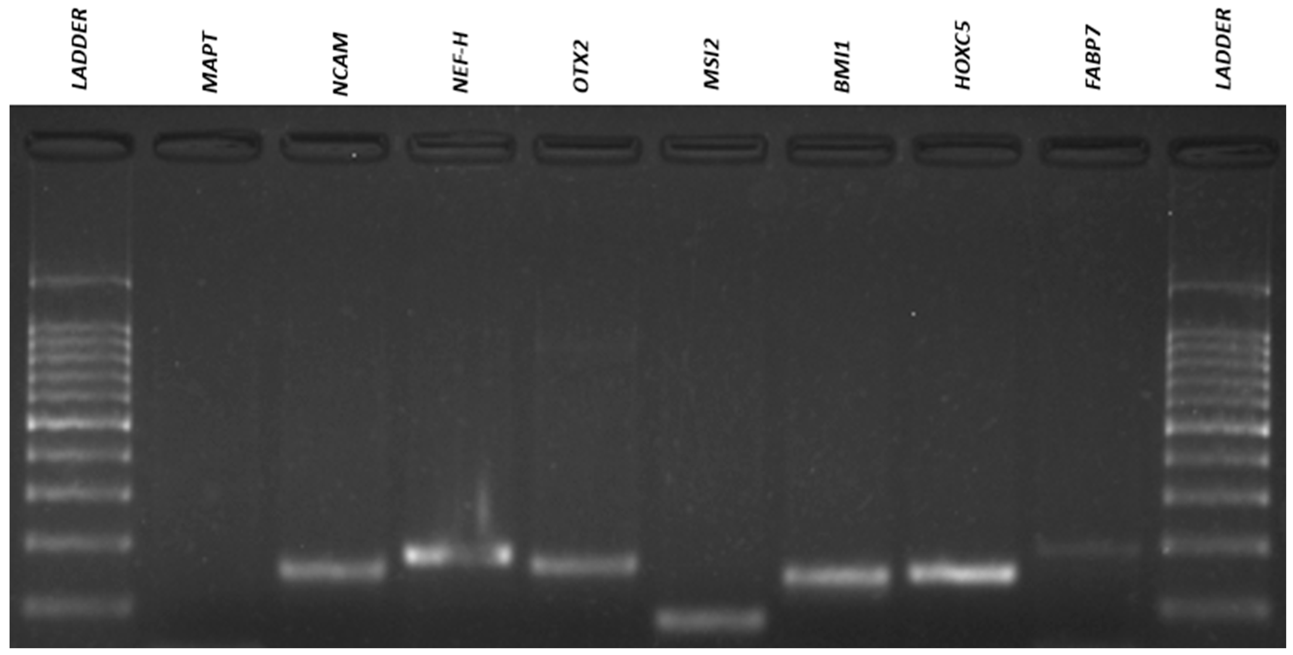 Membranes 11 00687 g009 Membranes 11 00687 g009