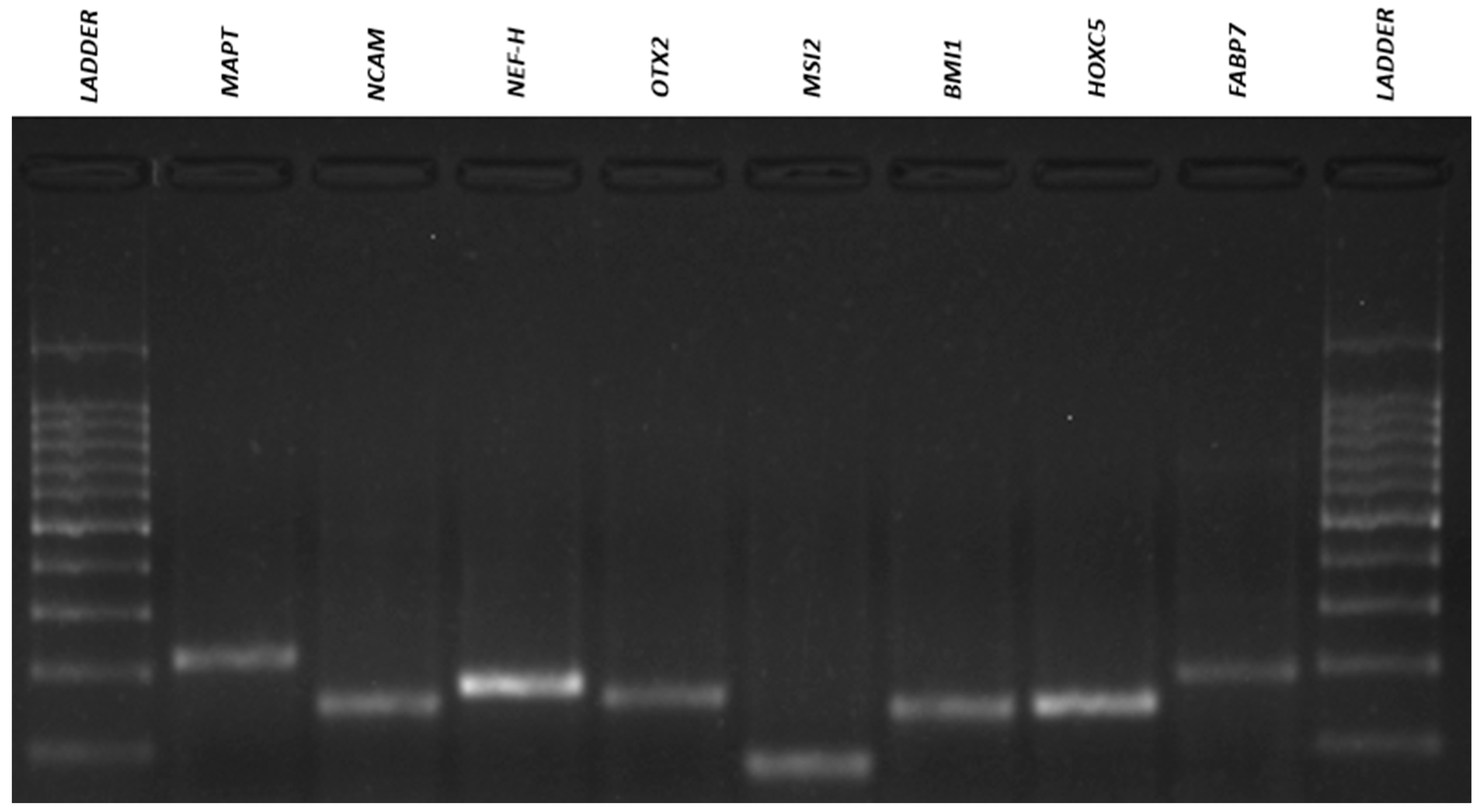Membranes 11 00687 g010 Membranes 11 00687 g010