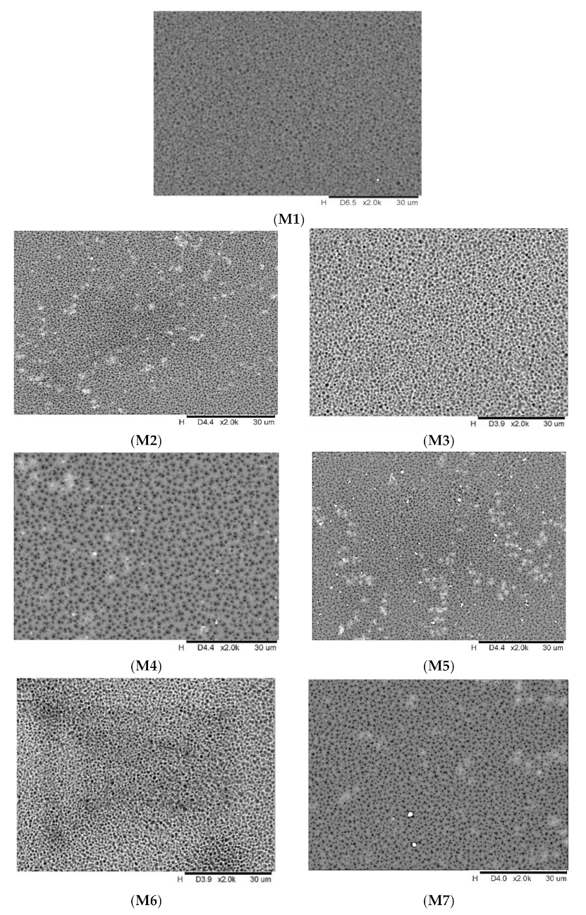 Membranes 11 00721 g002