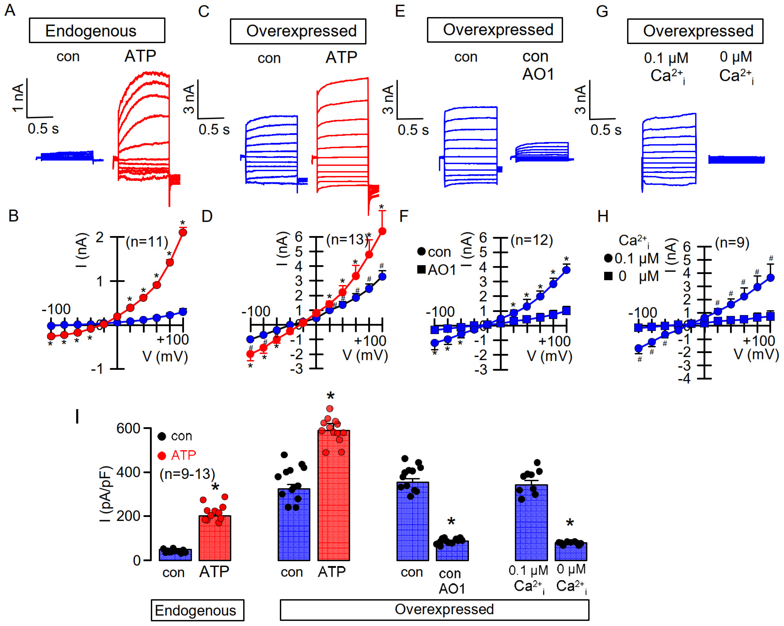 Membranes 11 00723 g001