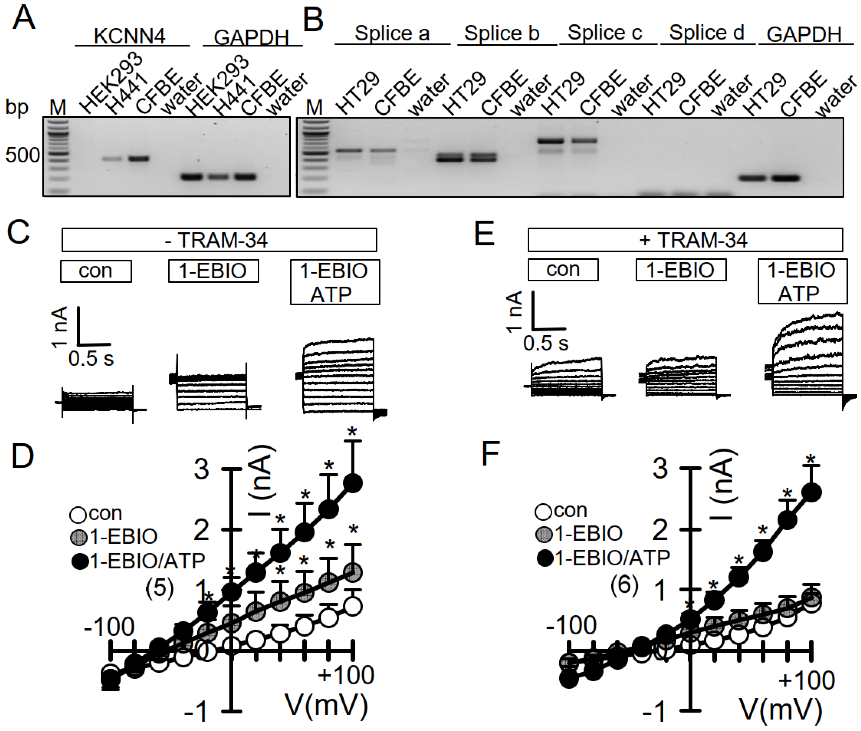 Membranes 11 00723 g004