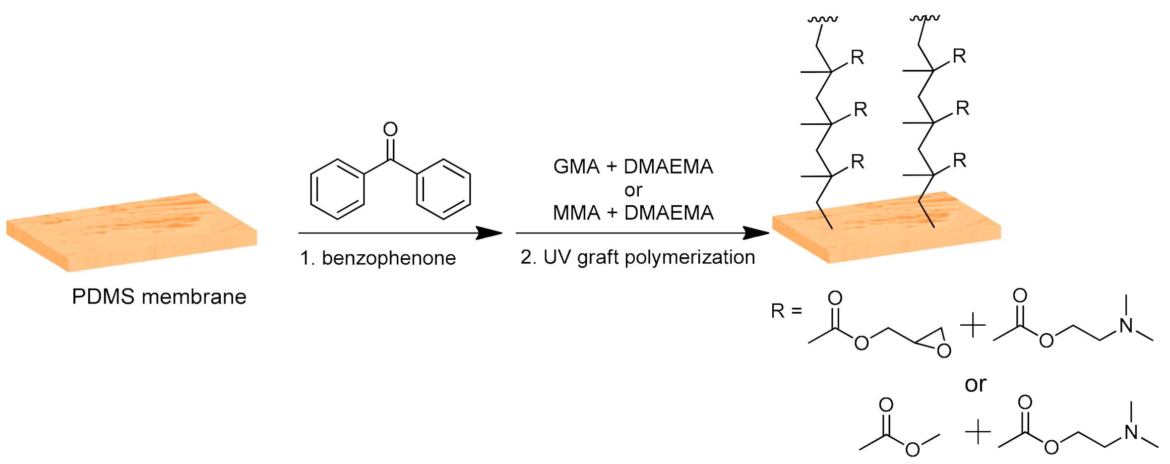 Membranes 11 00752 g001