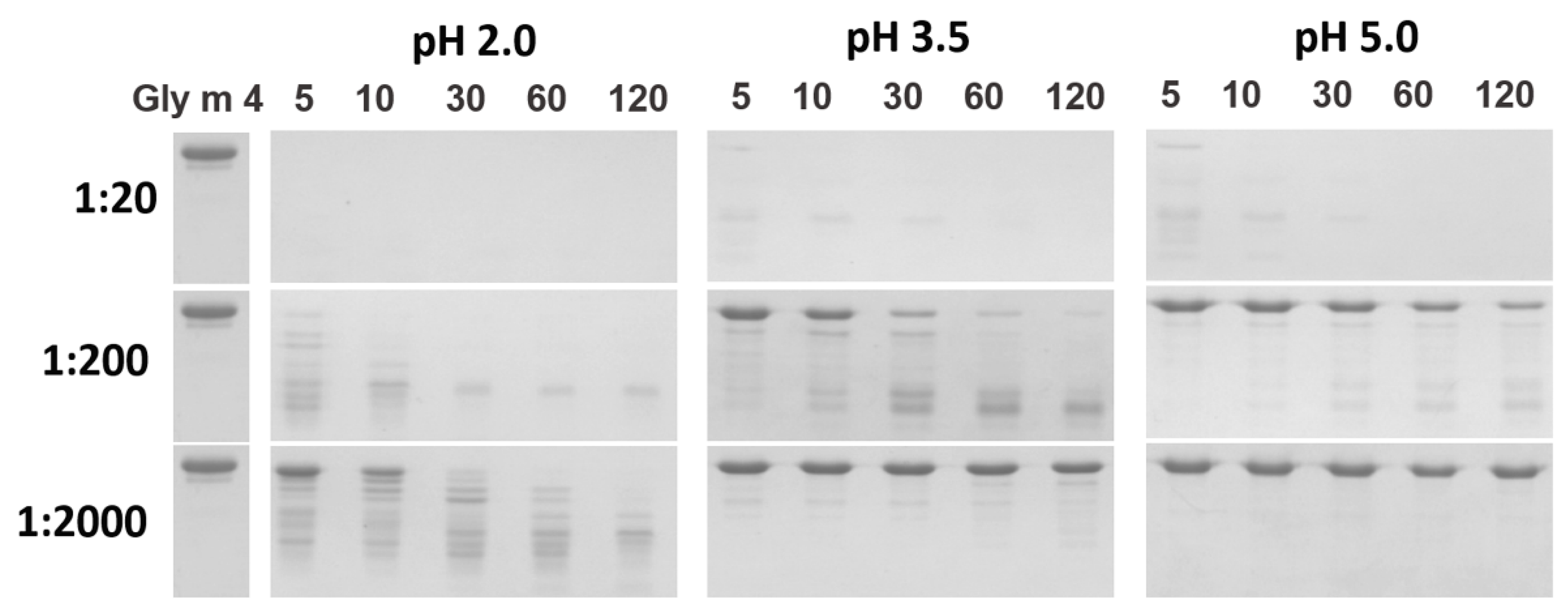 Membranes 11 00754 g003