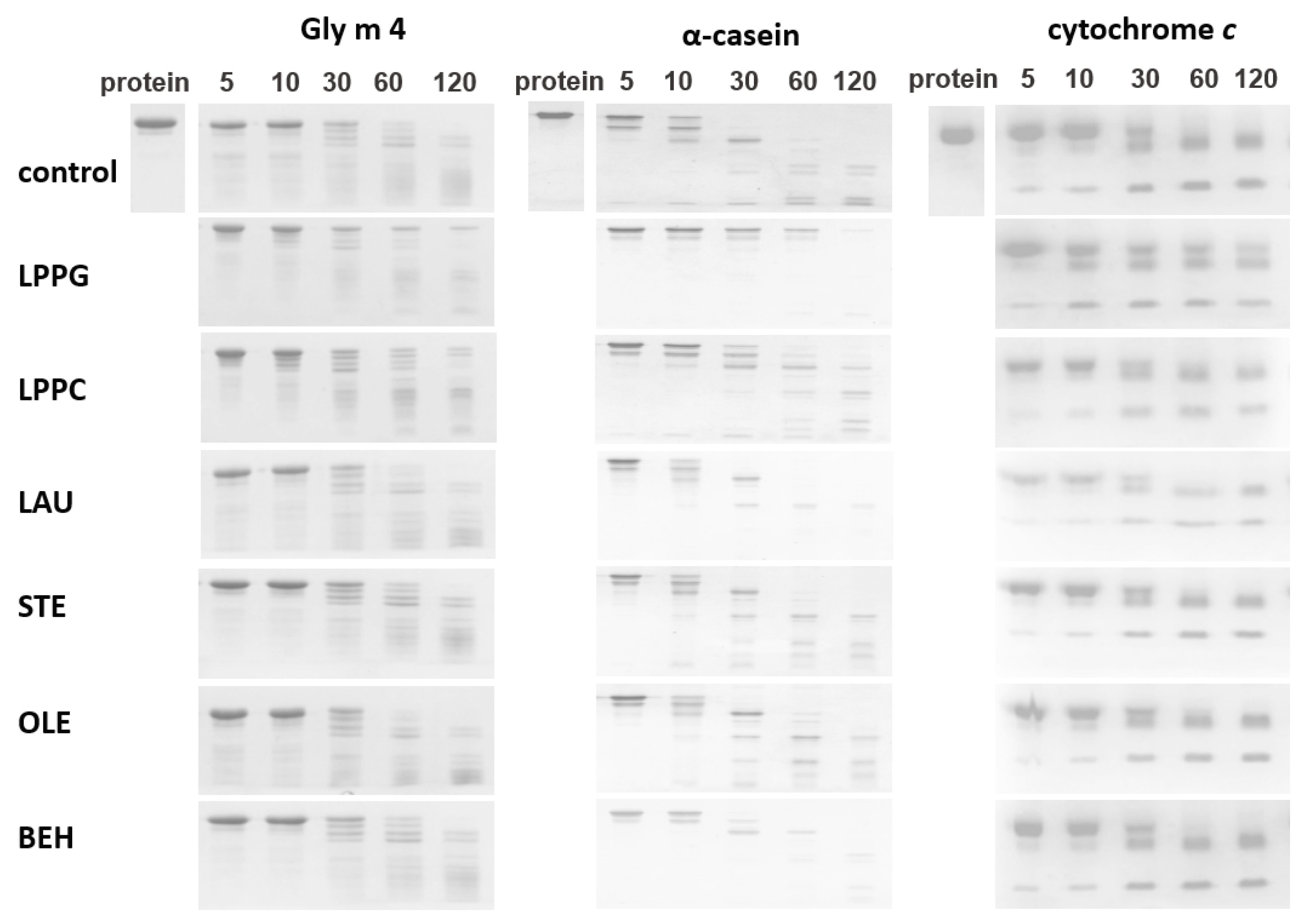 Membranes 11 00754 g005
