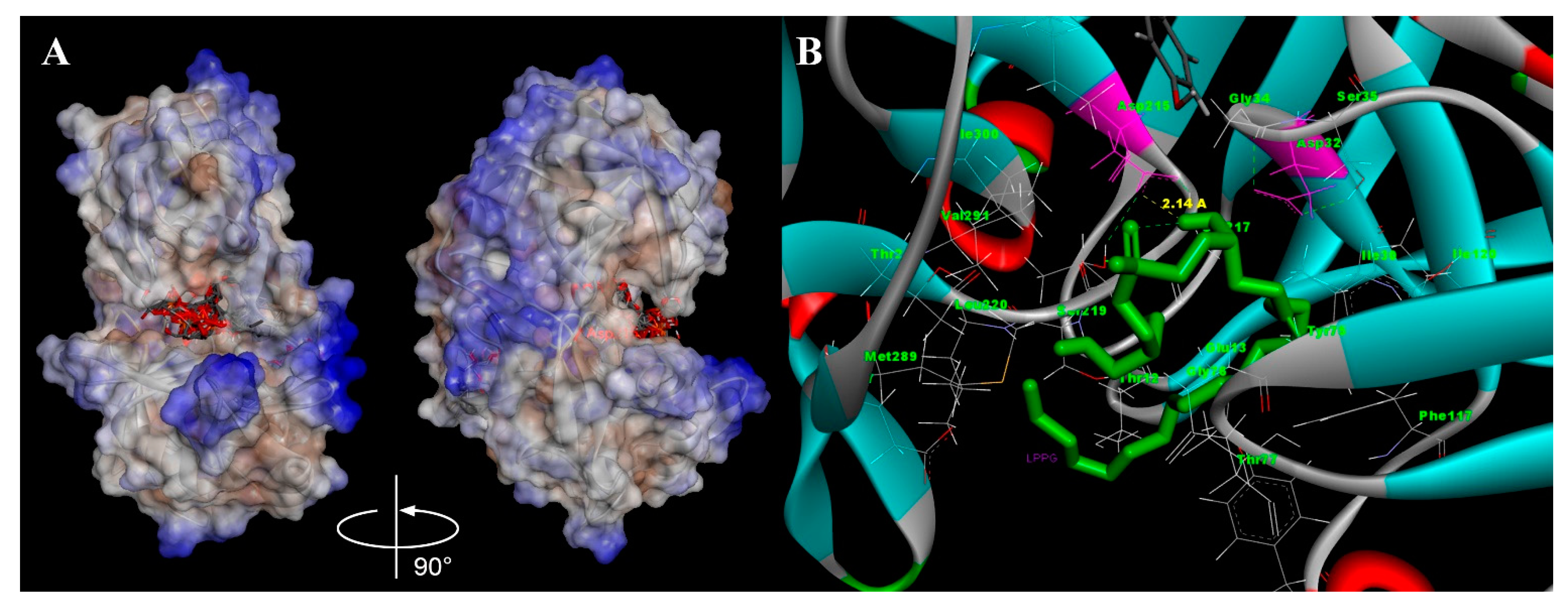 Membranes 11 00754 g006