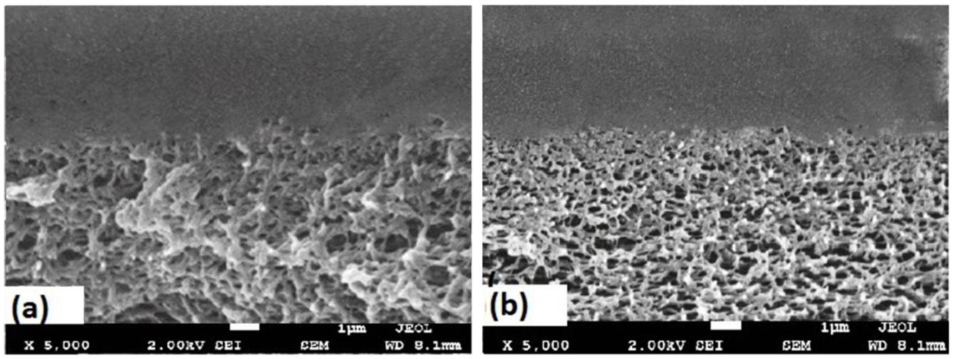 Membranes 11 00760 g007