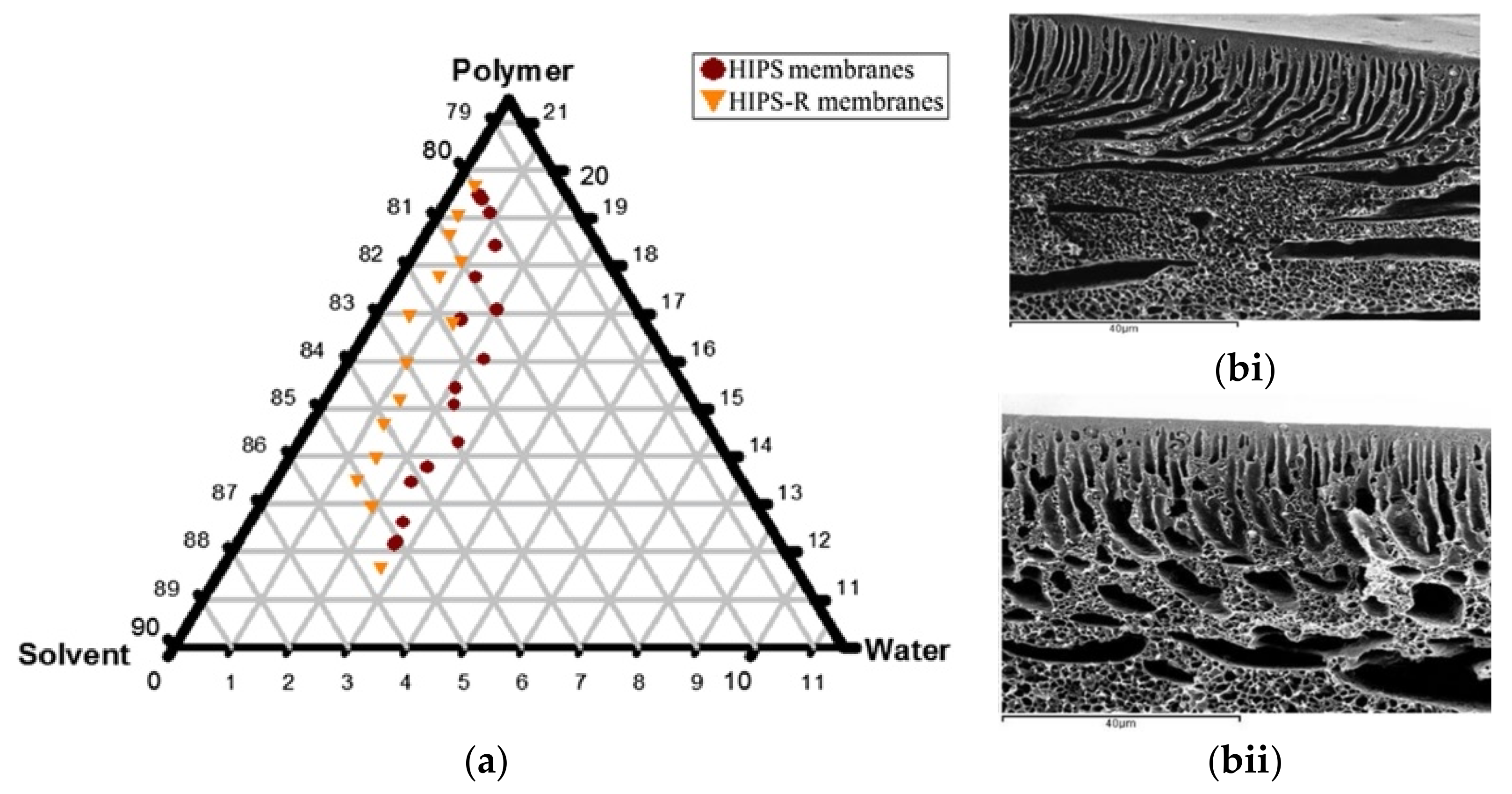 Membranes 11 00782 g006