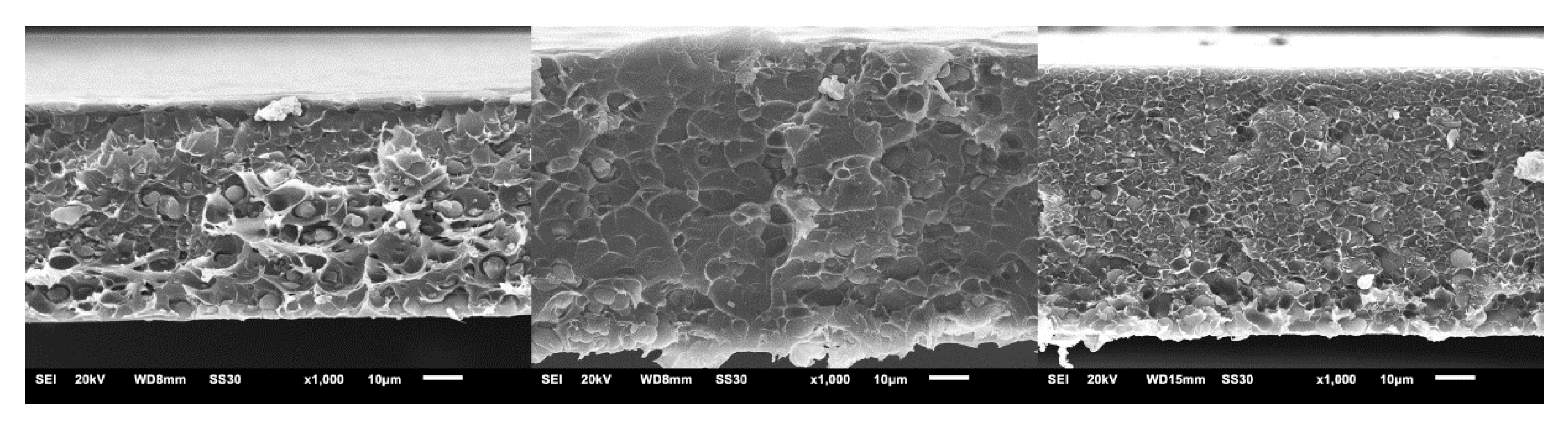 Membranes 11 00795 g001