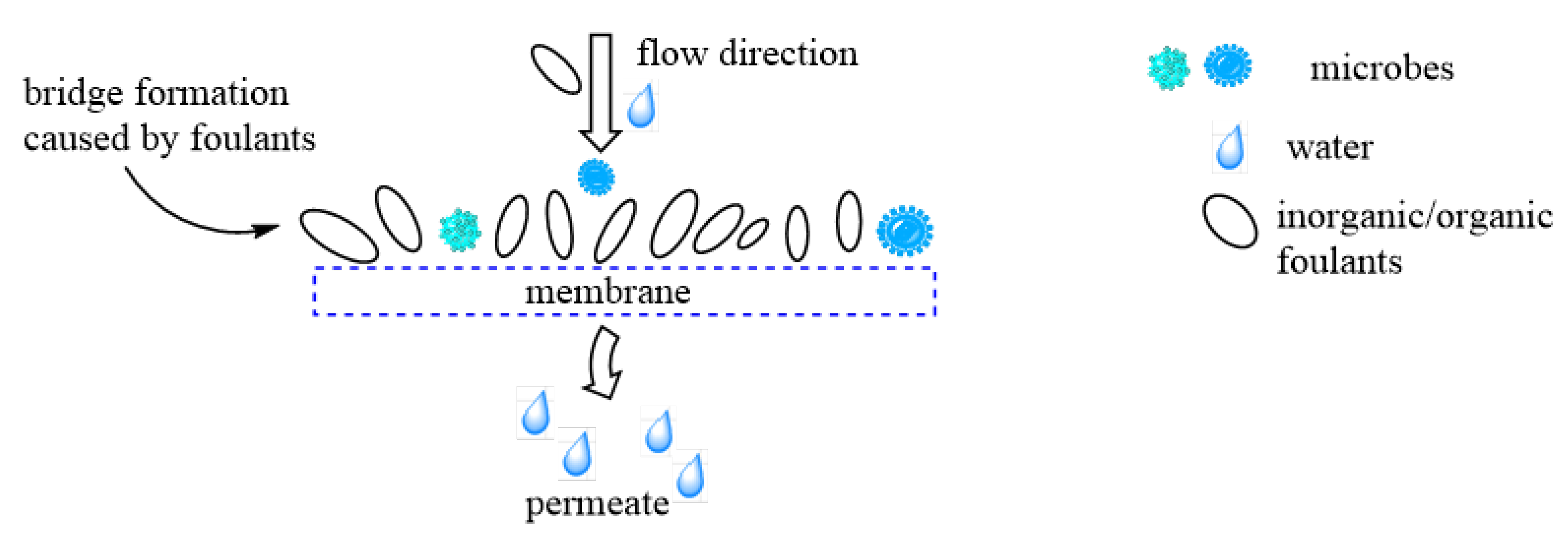 Membranes 11 00798 g003