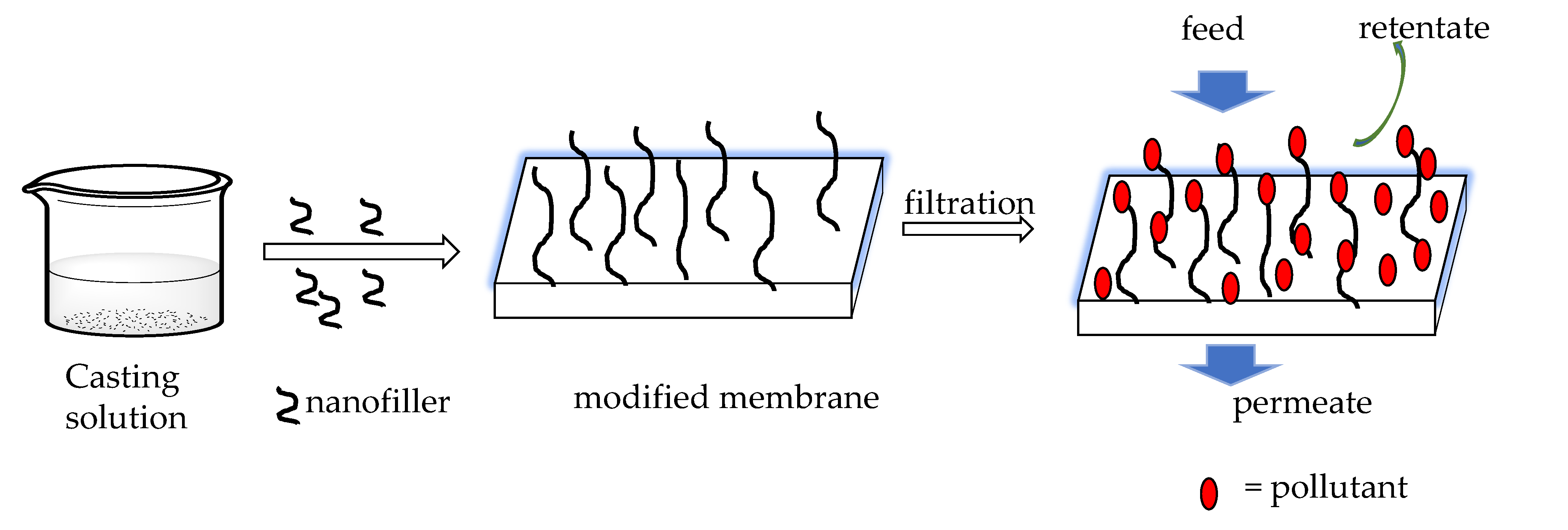 Membranes 11 00798 g004