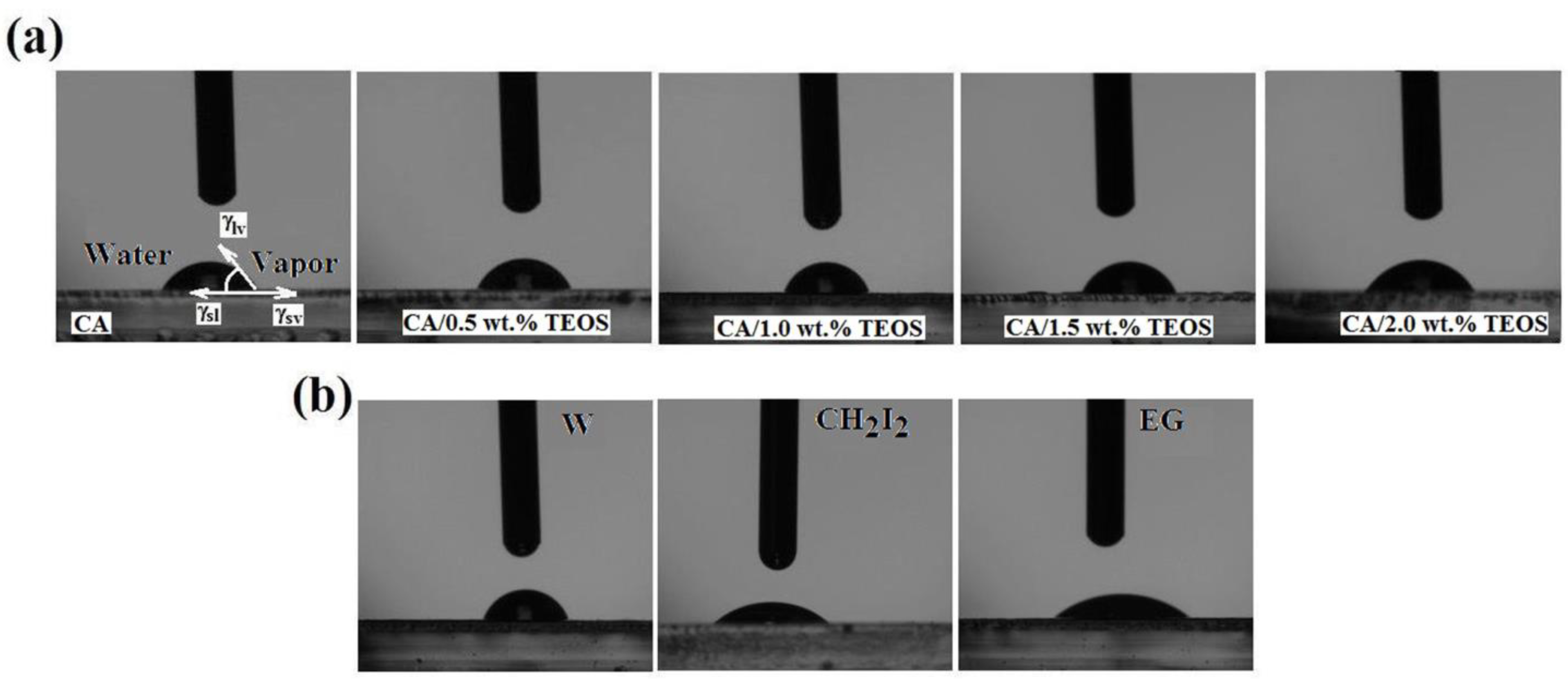 Membranes 11 00840 g008