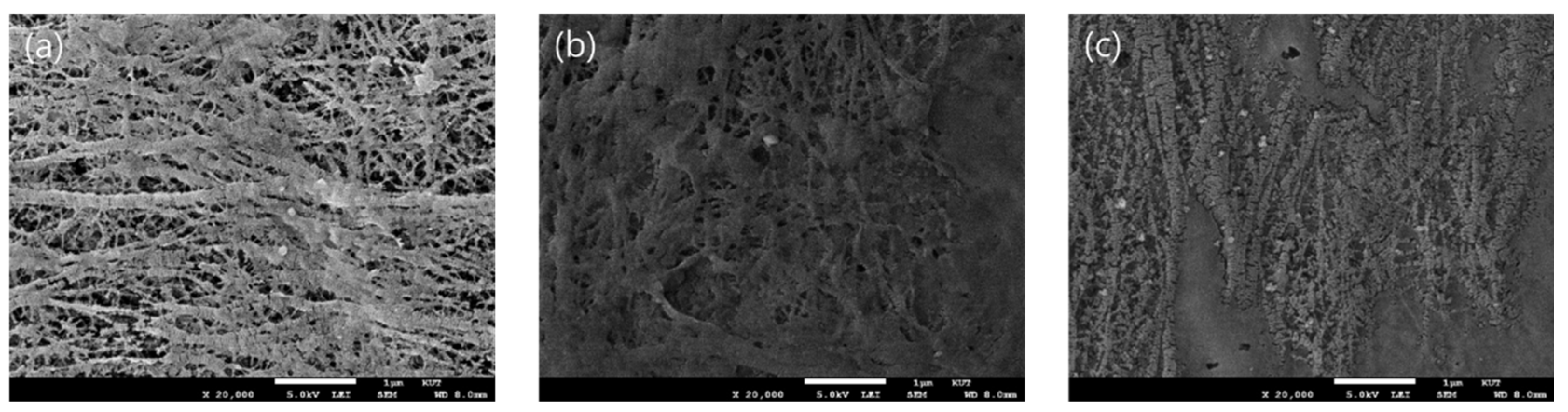 Membranes 11 00867 g005