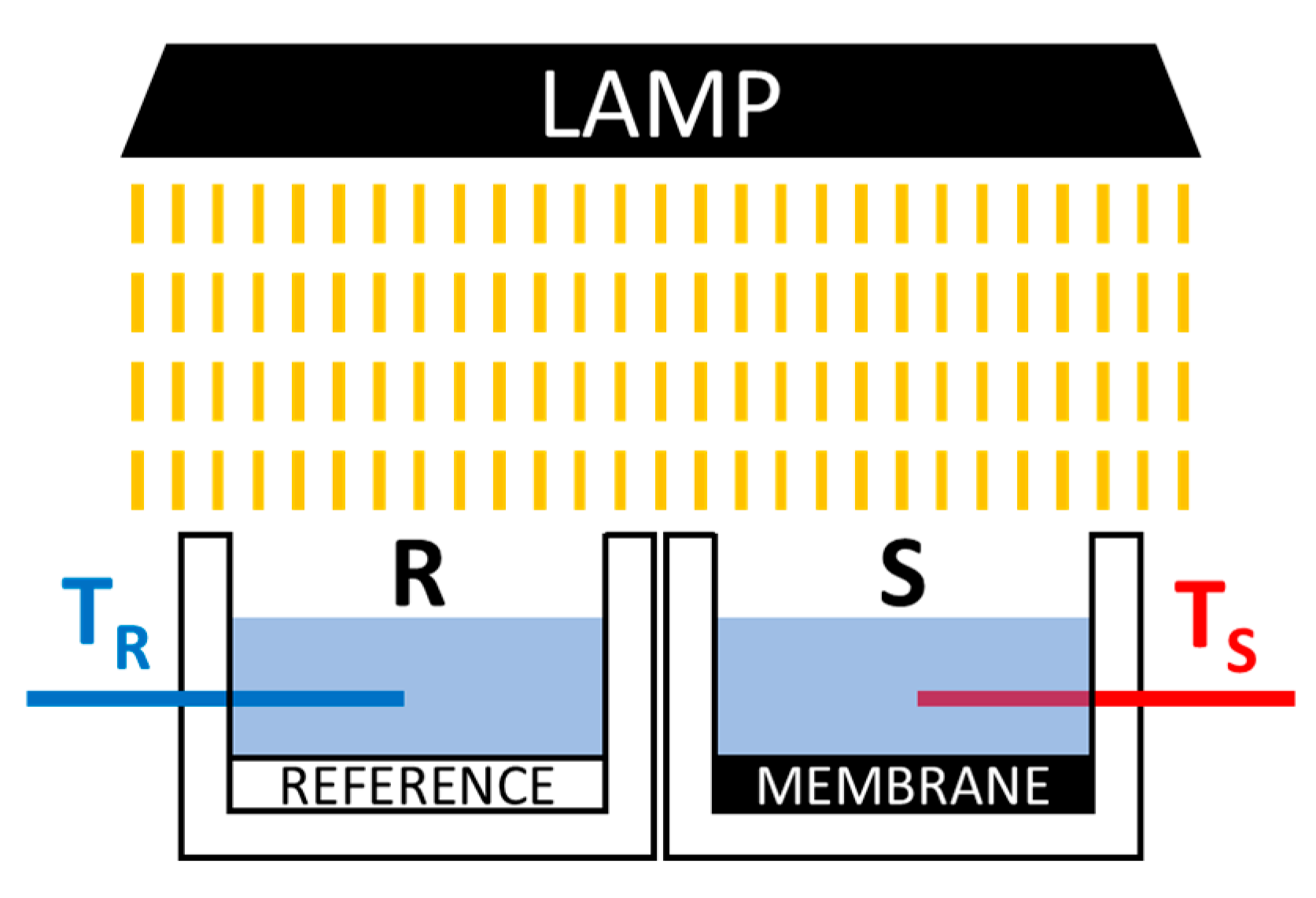 Membranes 11 00896 g001