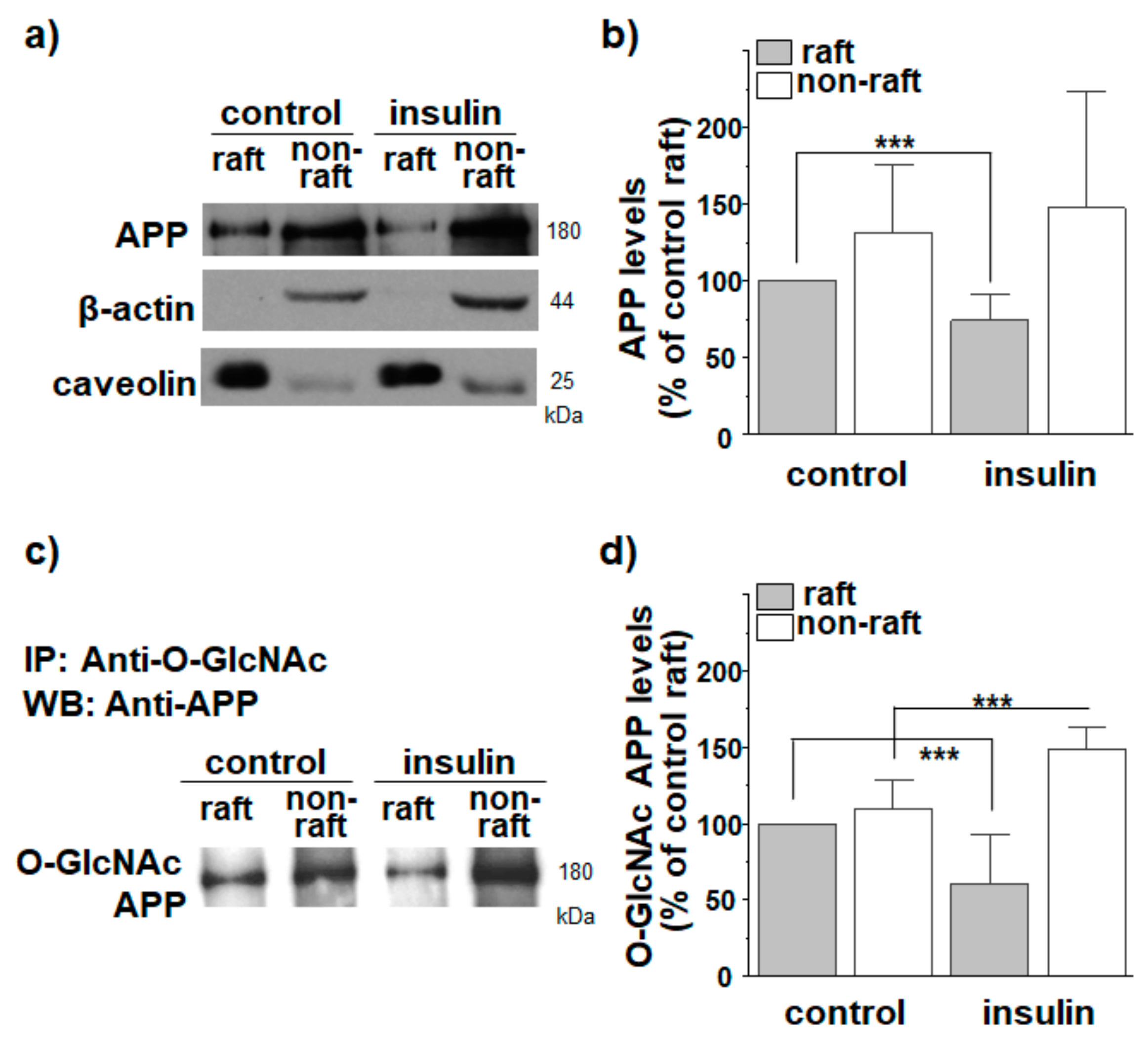 Membranes 11 00909 g002
