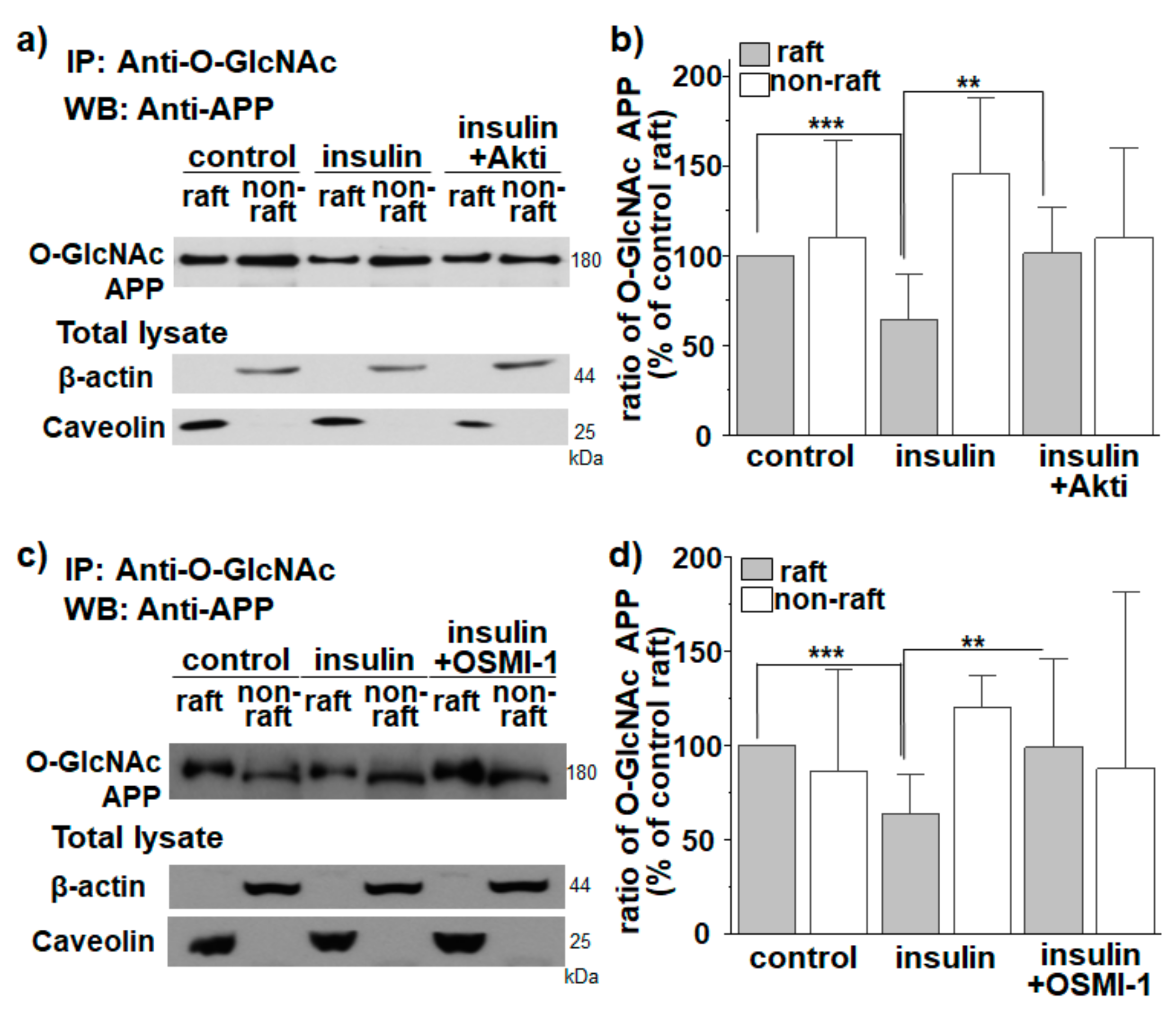 Membranes 11 00909 g003