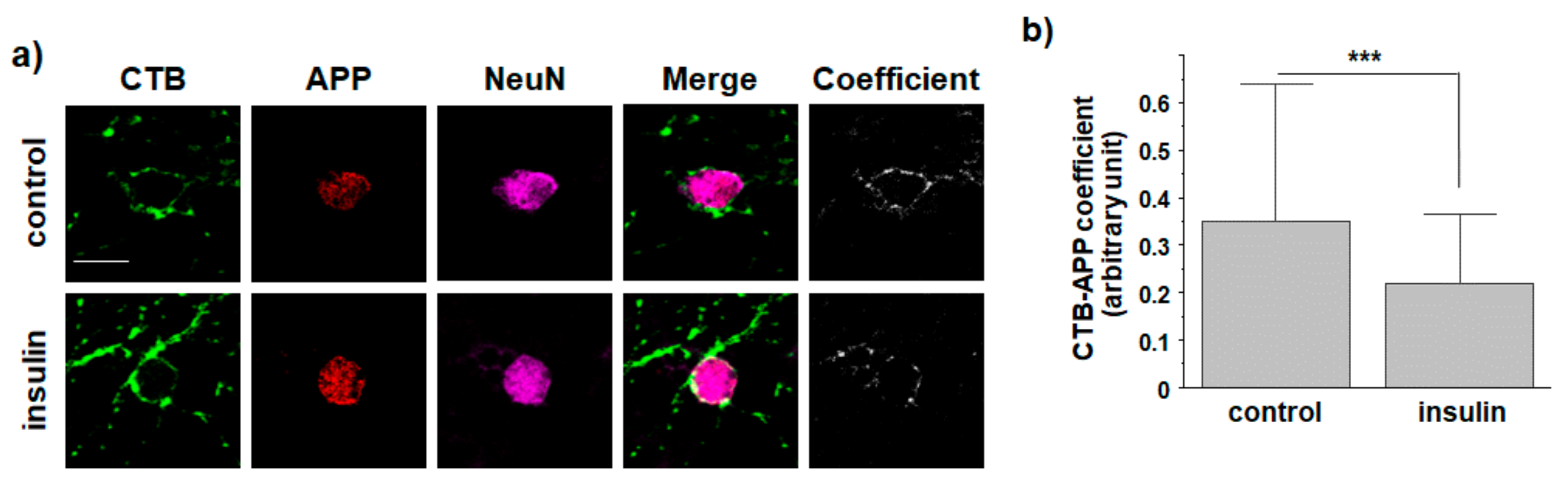 Membranes 11 00909 g005