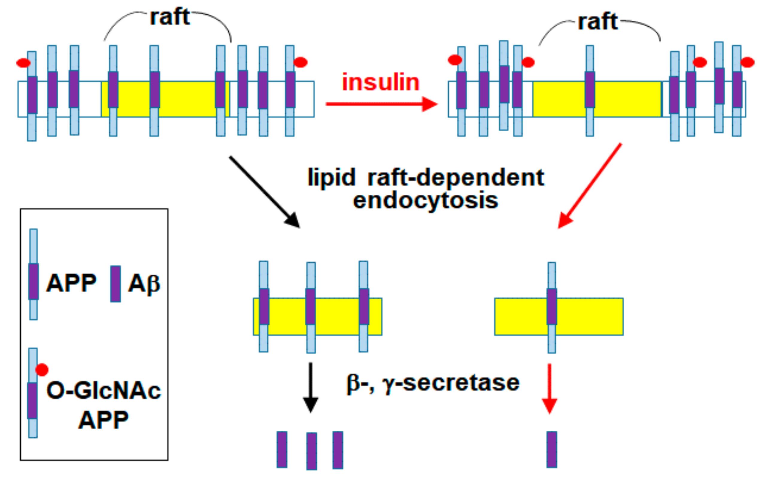 Membranes 11 00909 g006