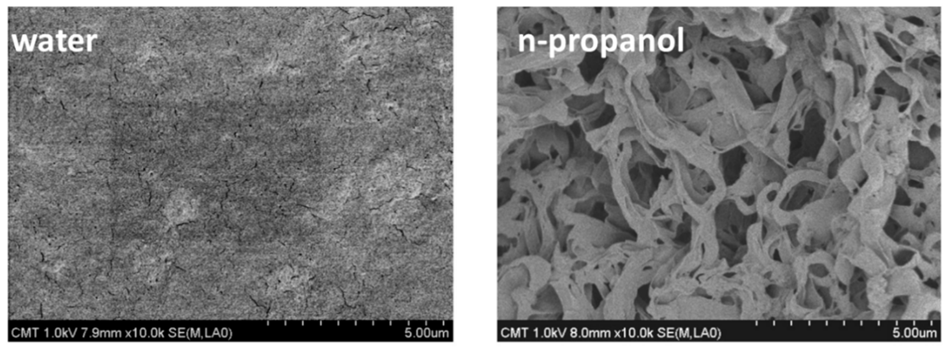 Membranes 11 00934 g008