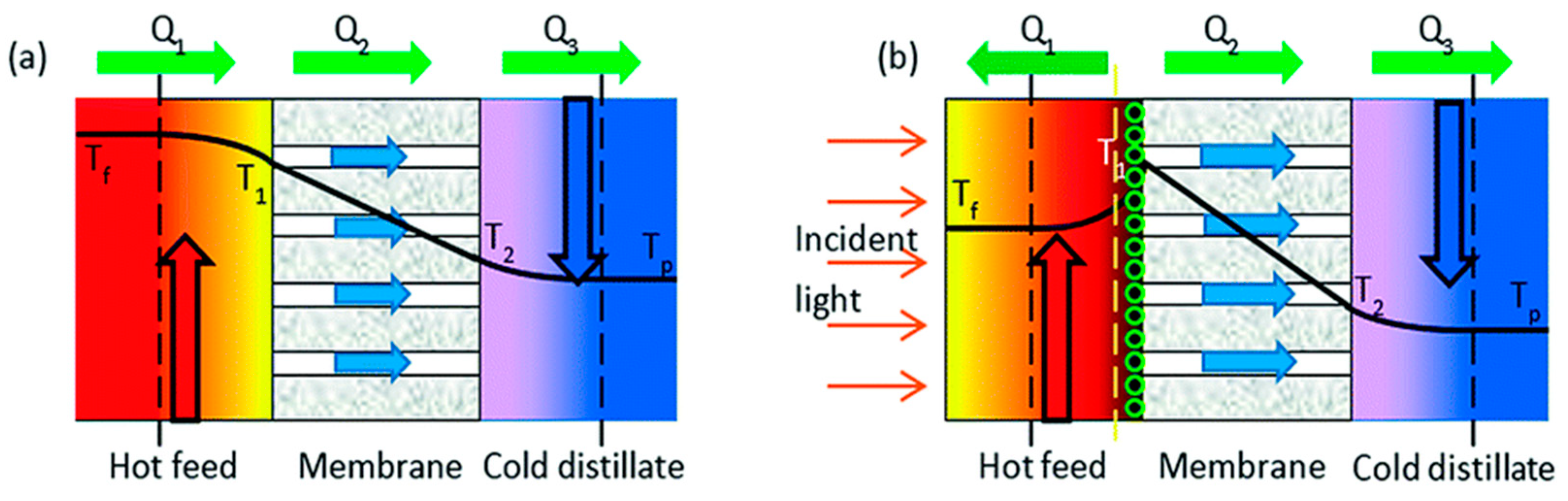 Membranes 11 00934 g013