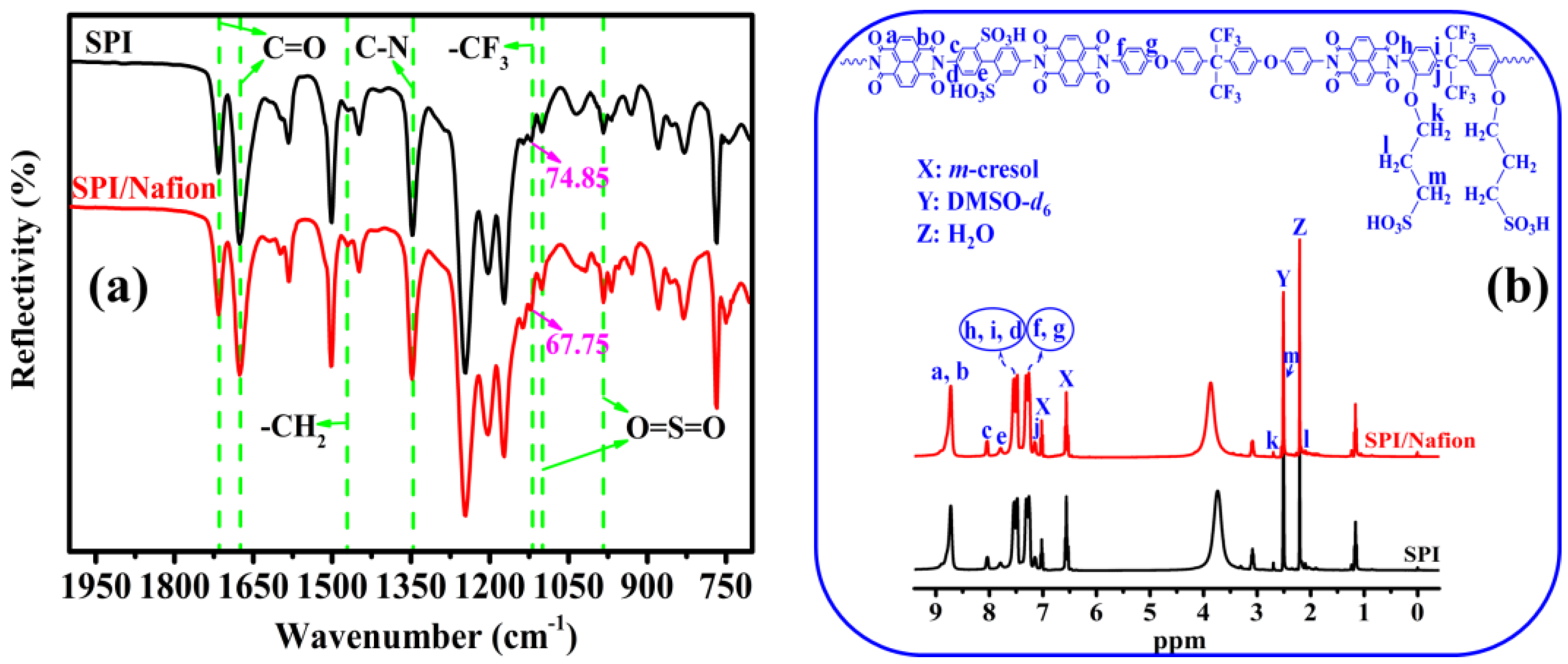 Membranes 11 00946 g002