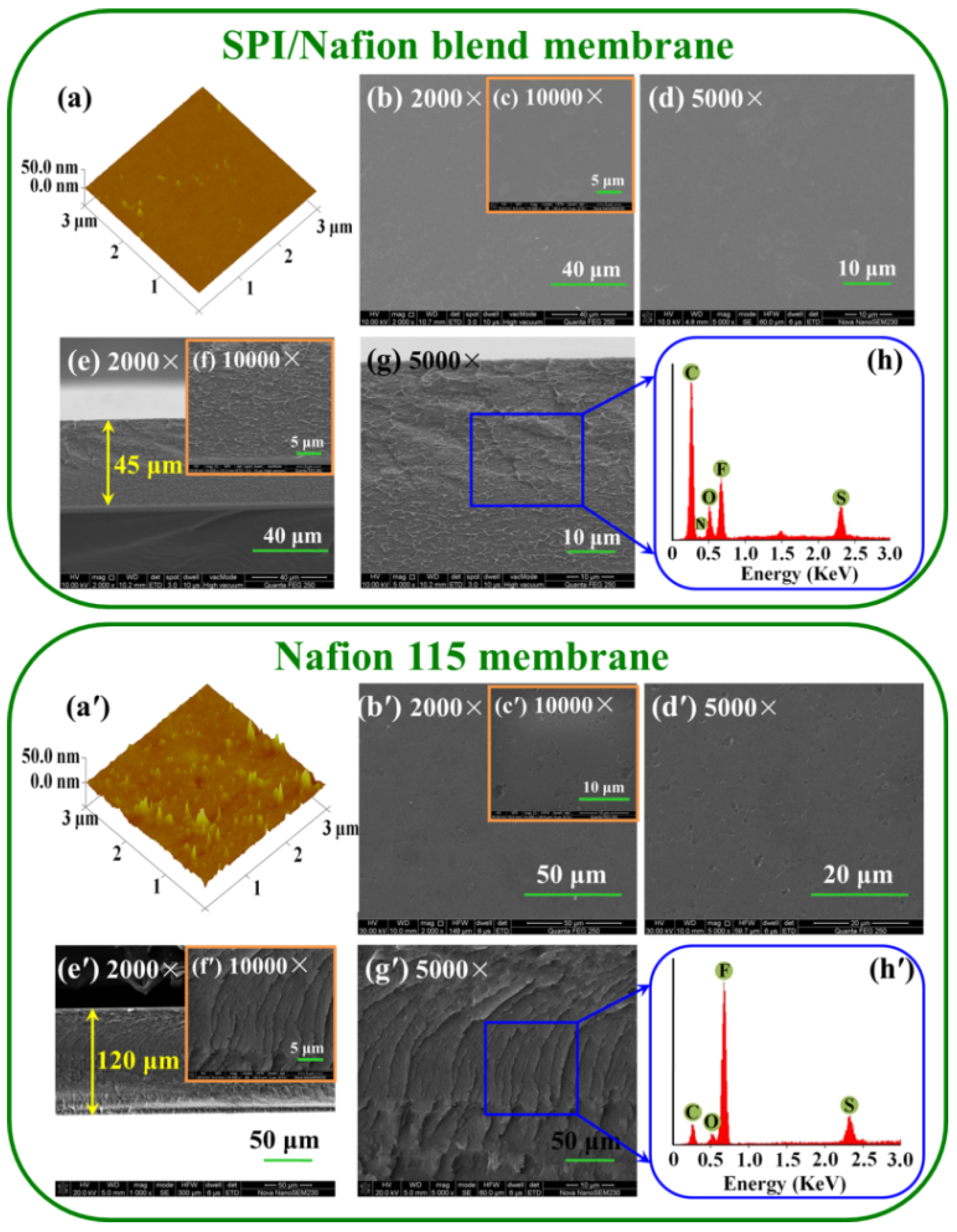 Membranes 11 00946 g003