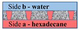 Membranes 11 00949 i004