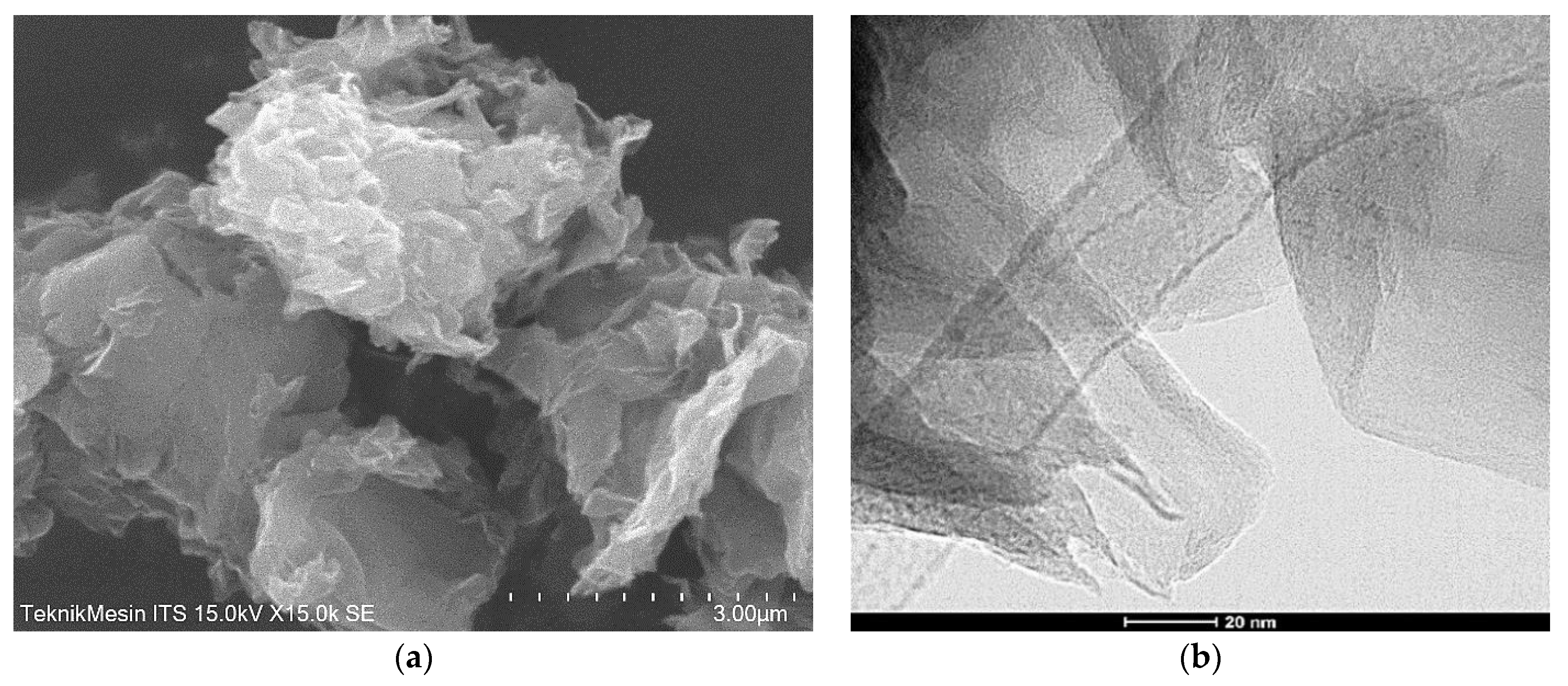 Membranes 11 00966 g006