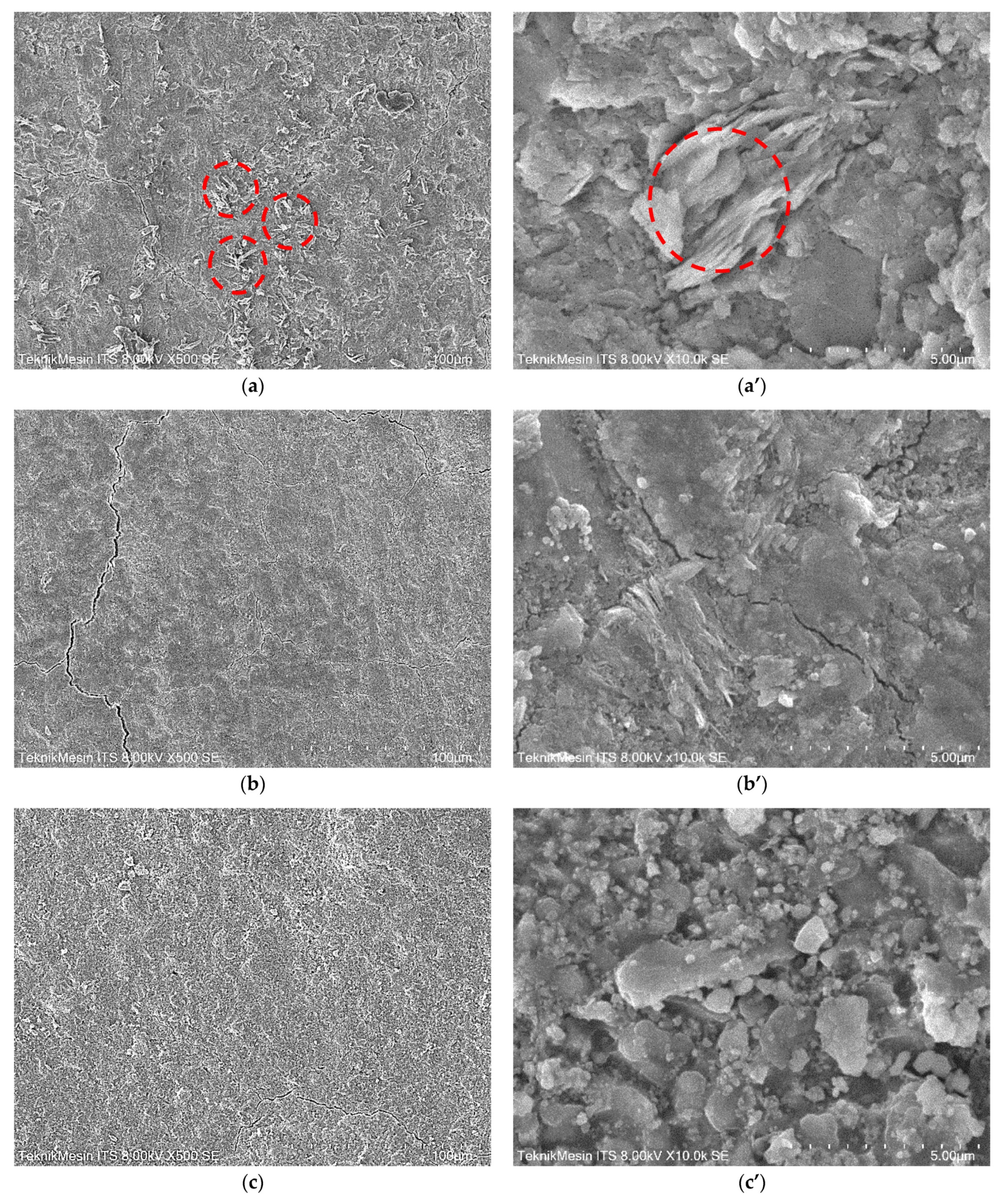 Membranes 11 00966 g010a