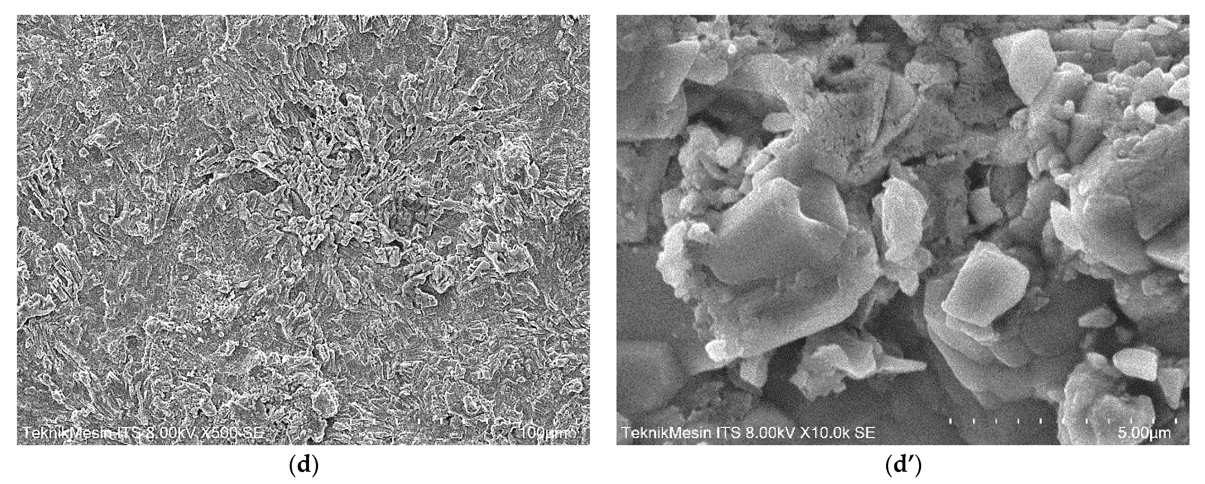 Membranes 11 00966 g010b