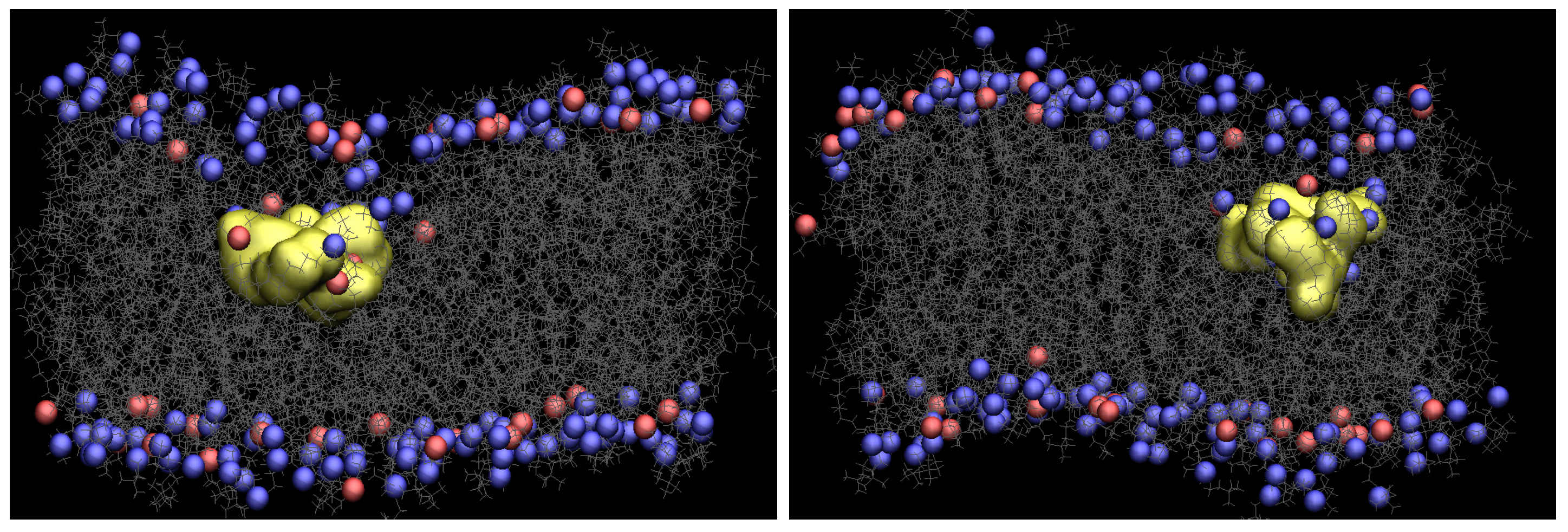 Membranes 11 00974 g002