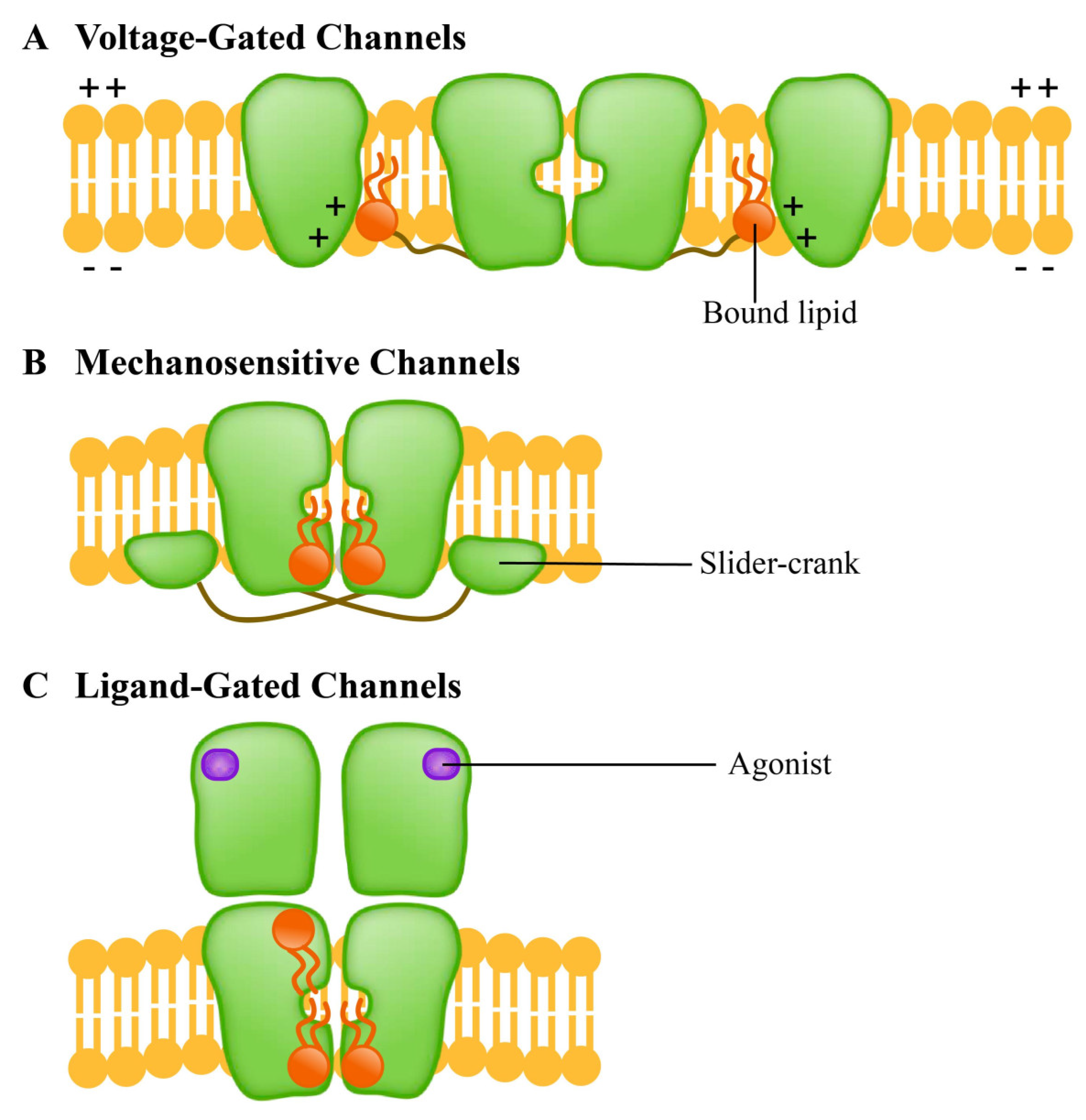 Membranes 11 00984 g009 Membranes 11 00984 g009