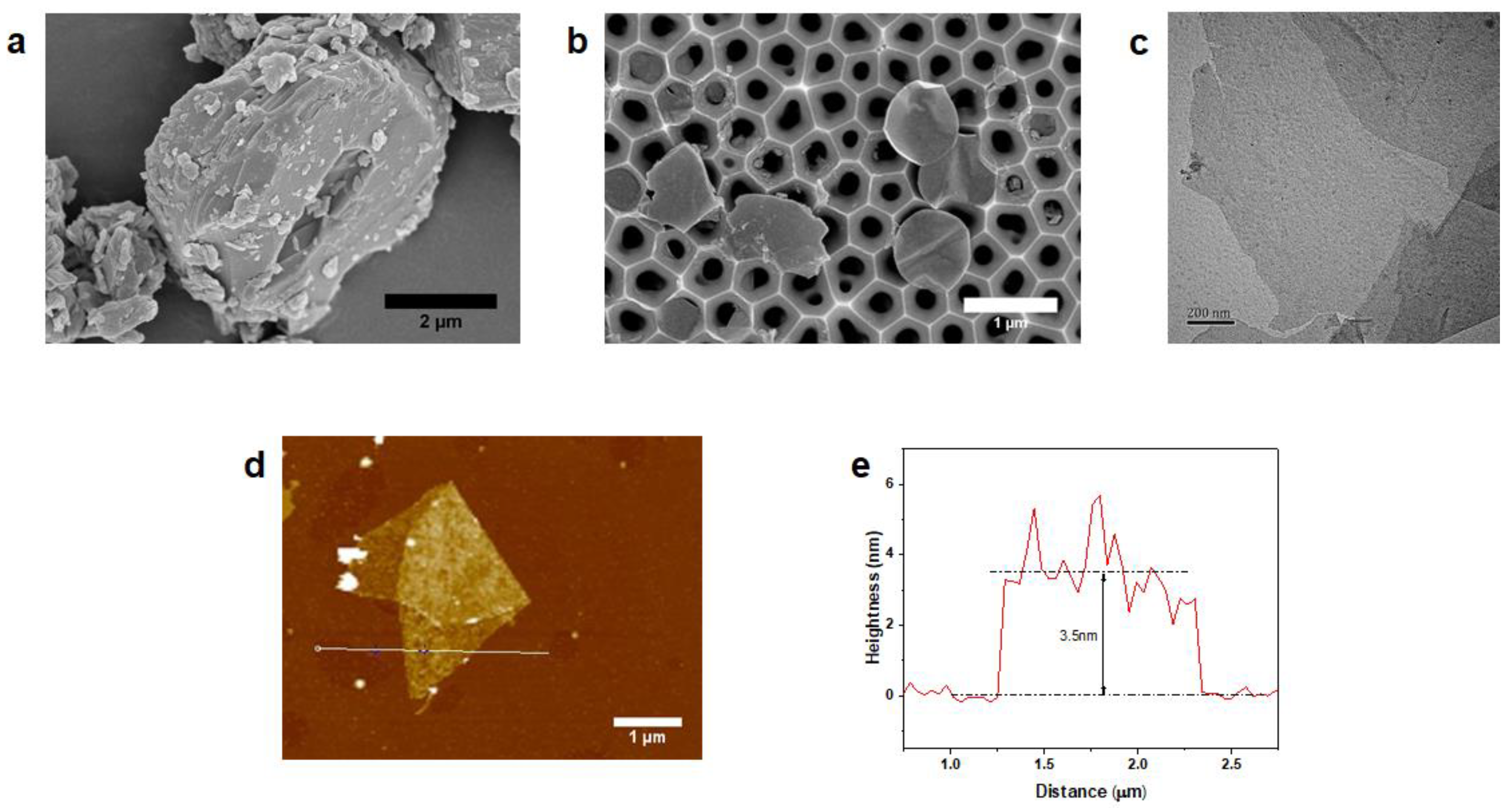 Membranes 12 00002 g001