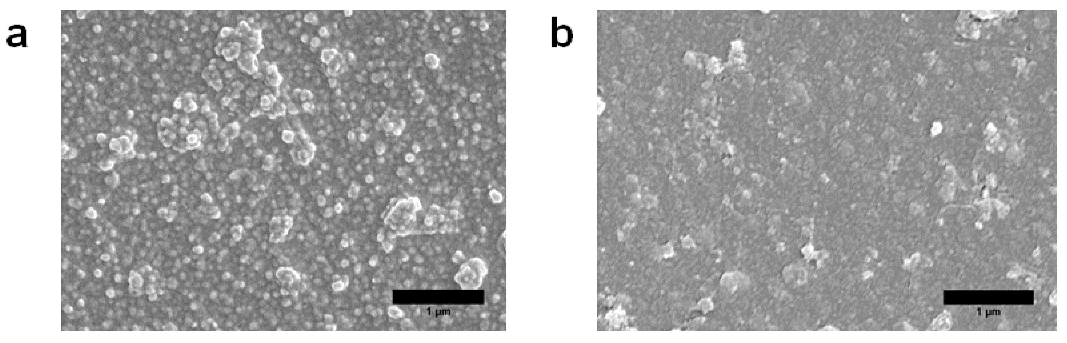 Membranes 12 00002 g011