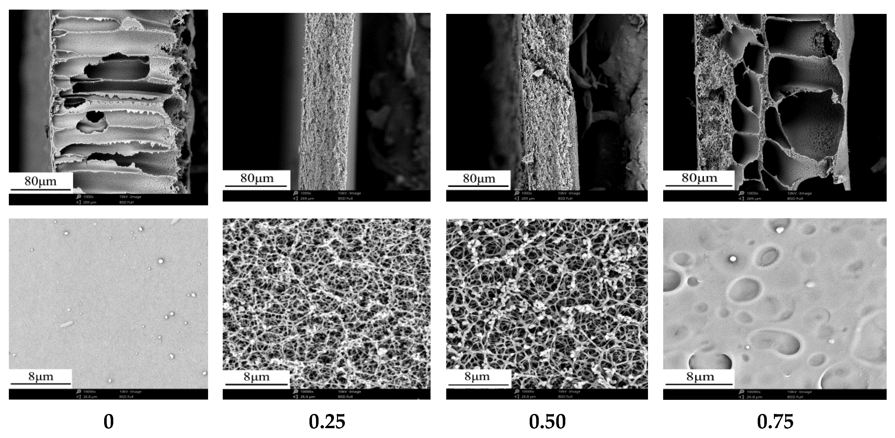 Membranes | Free Full-Text | Study on the Preparation of Cellulose Acetate  Separation Membrane and New Adjusting Method of Pore Size | HTML