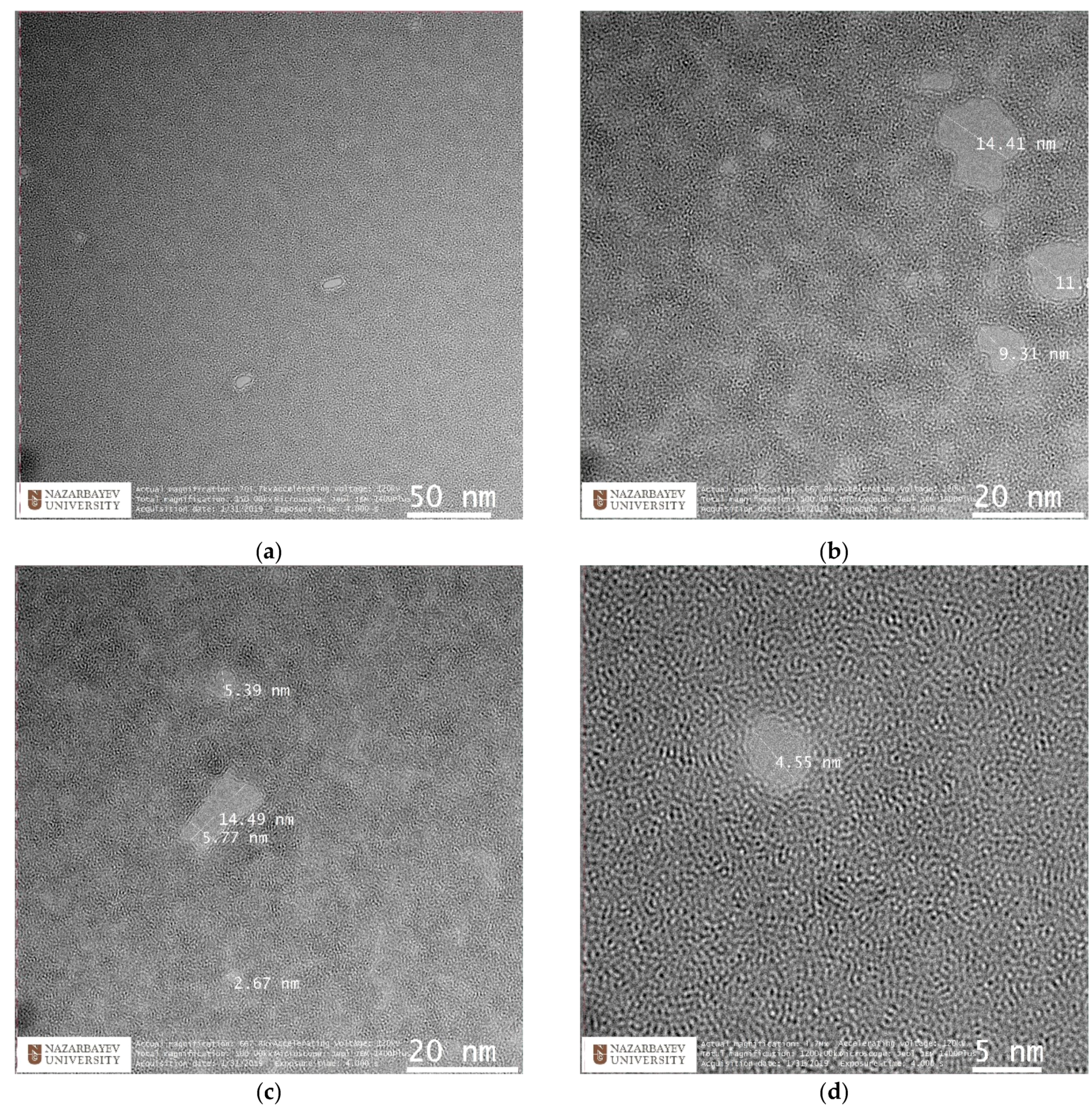 Membranes 12 00027 g006