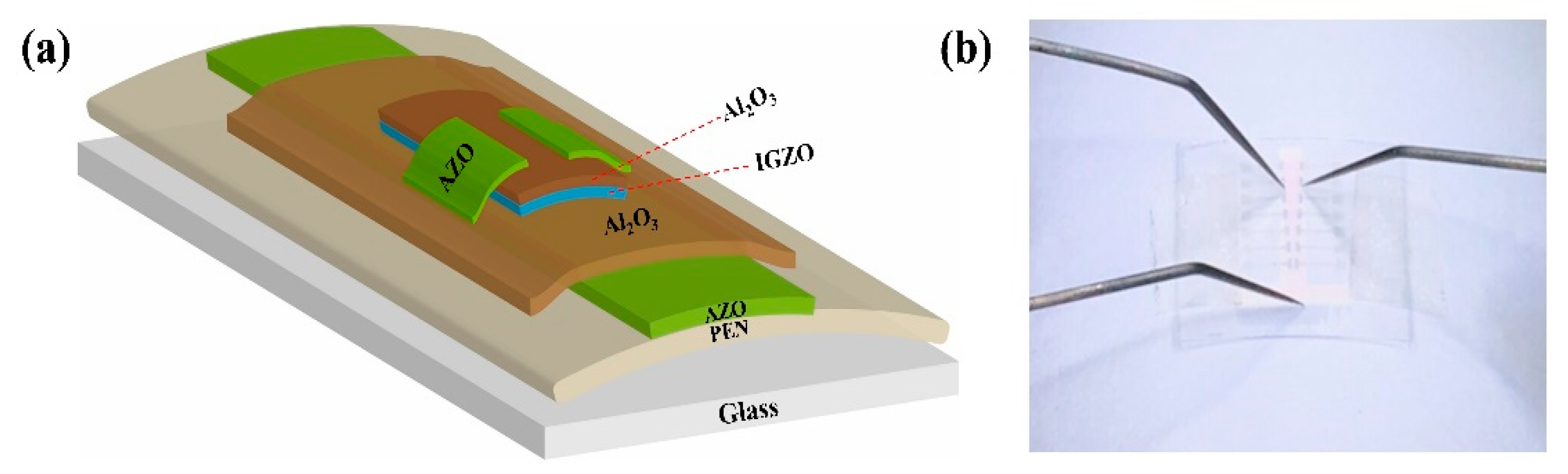 Membranes 12 00029 g001