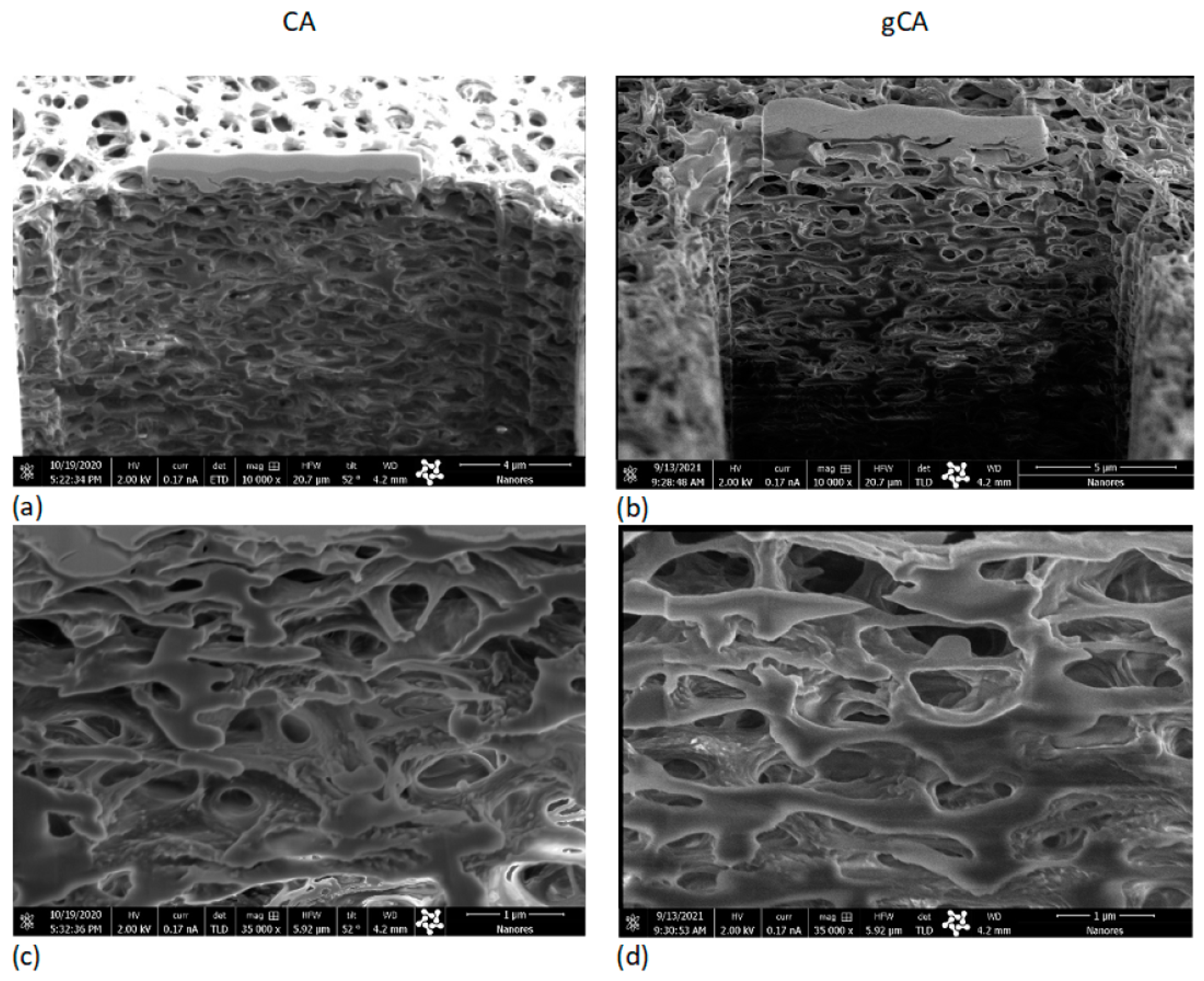 Membranes 12 00033 g004