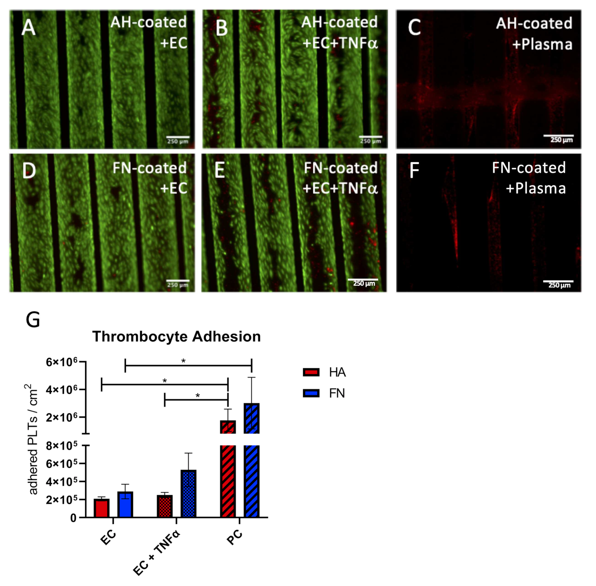 Membranes 12 00035 g005