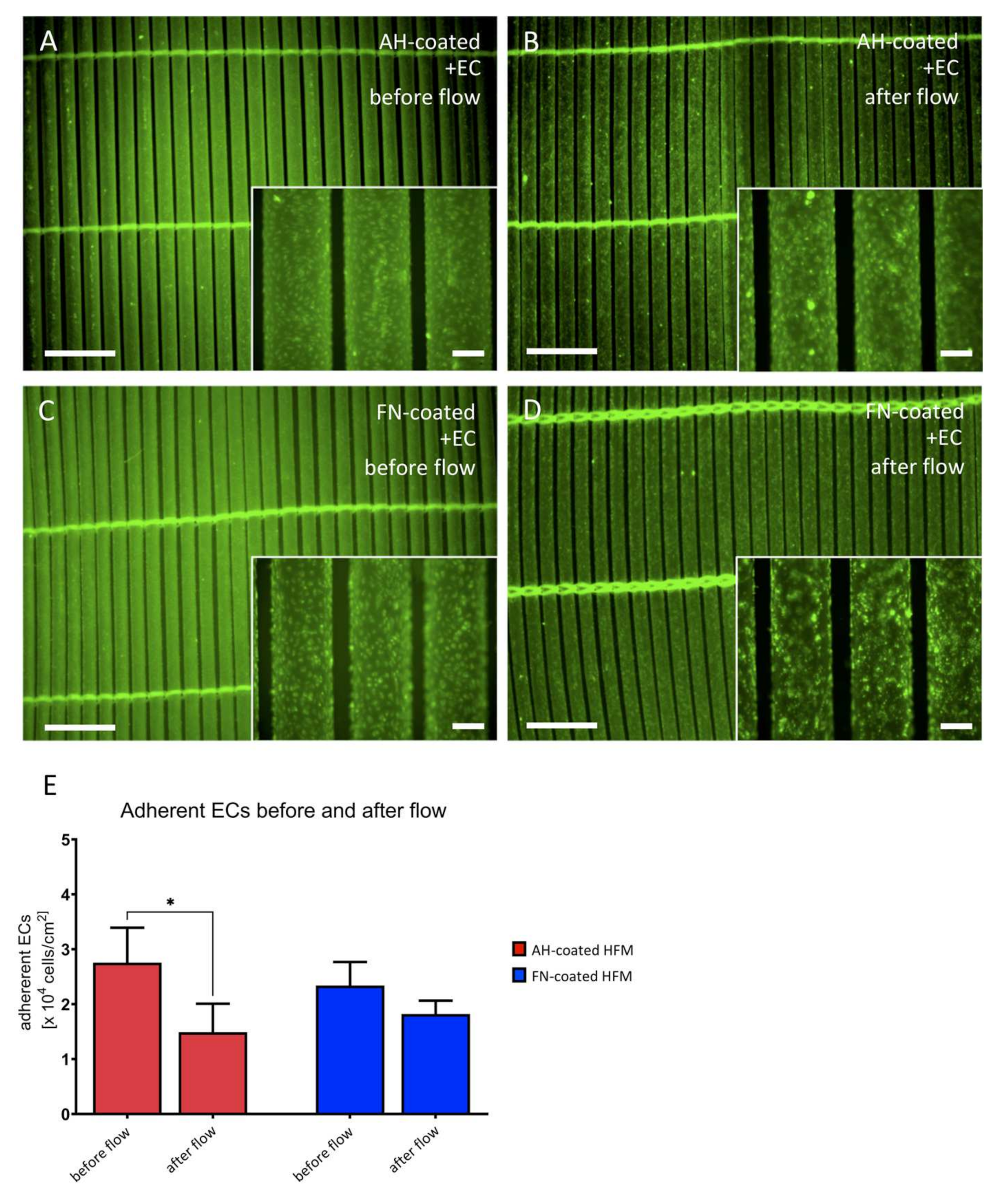 Membranes 12 00035 g007