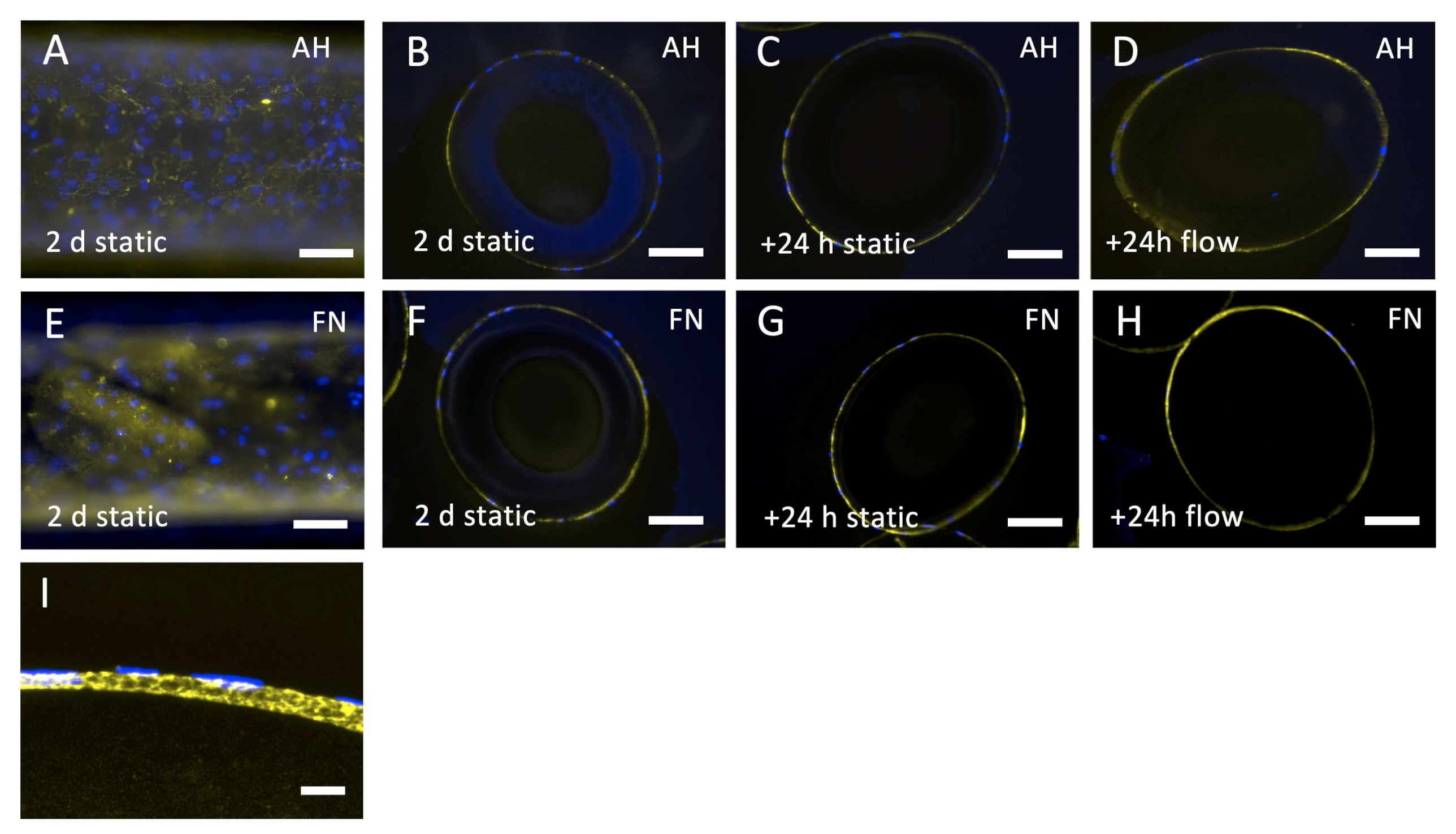 Membranes 12 00035 g009