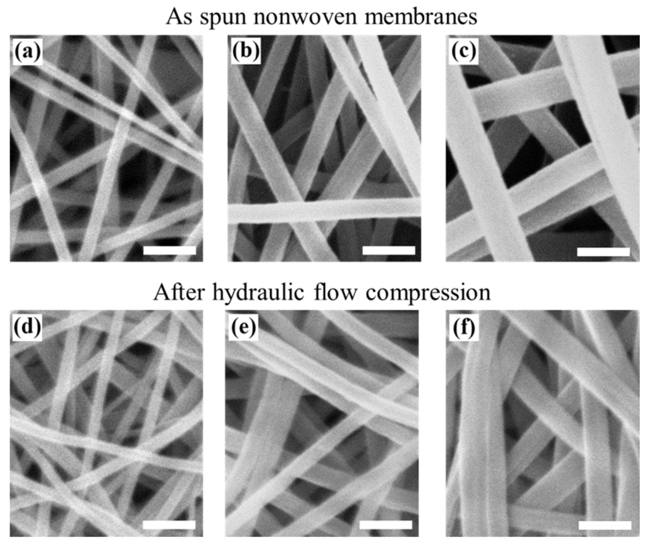 Membranes 12 00054 g002