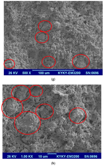 Membranes | Free Full-Text | The Effect Of Ceramic Membranes’ Structure ...