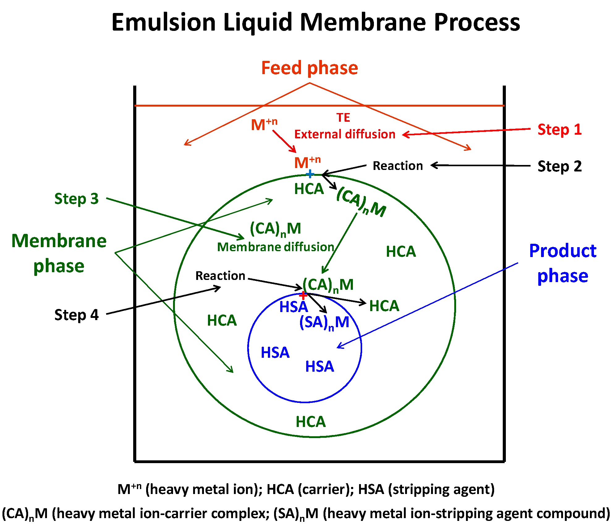 Membranes 12 00066 g001