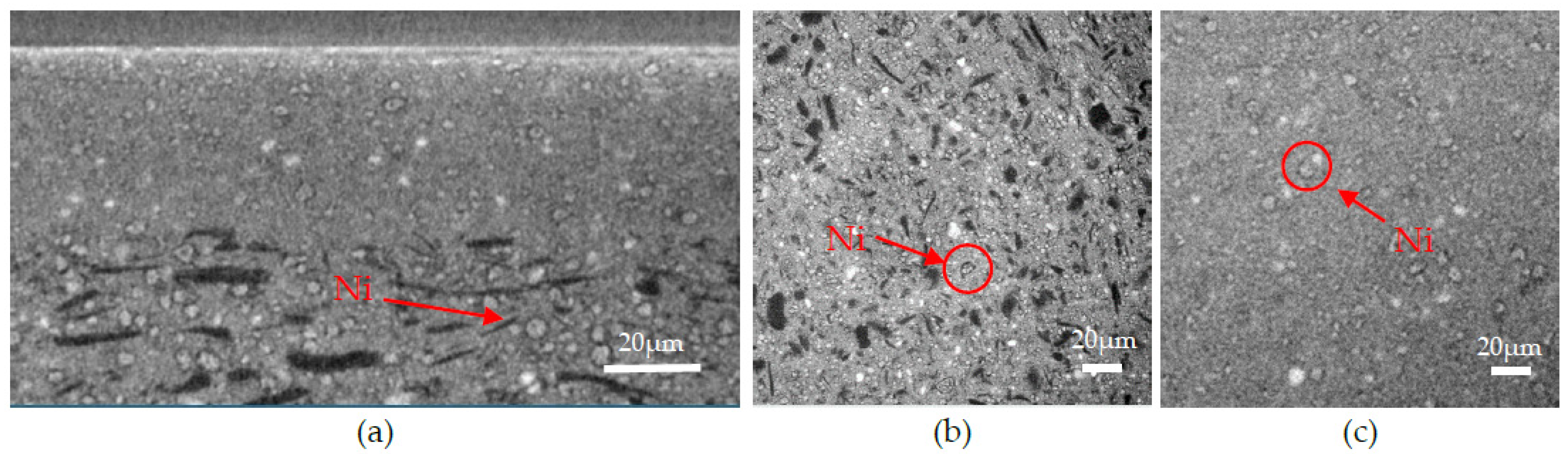 Membranes 12 00068 g010 Membranes 12 00068 g010